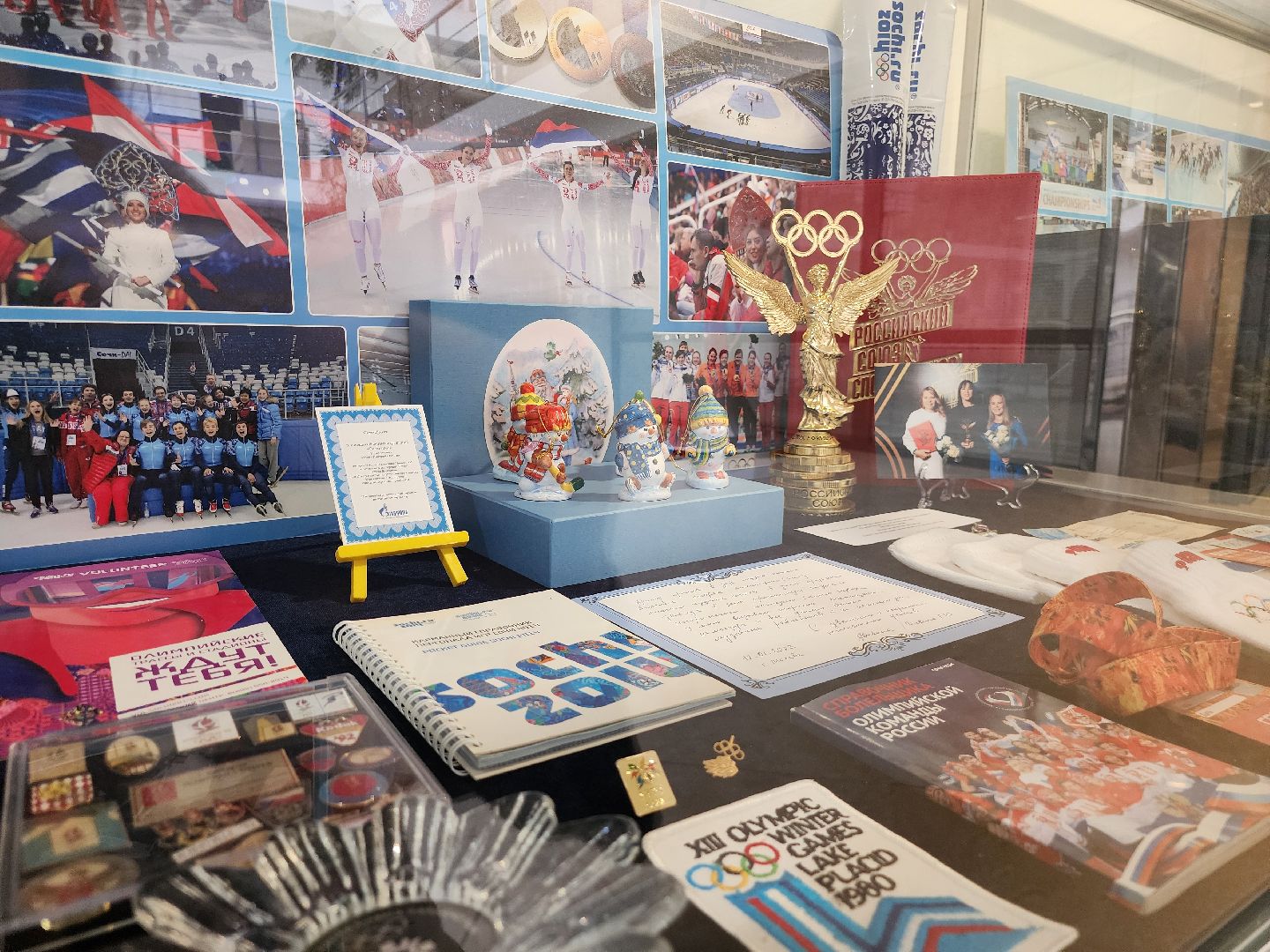 Коломна, конькобежный спорт, конькобежный центр, выставка,