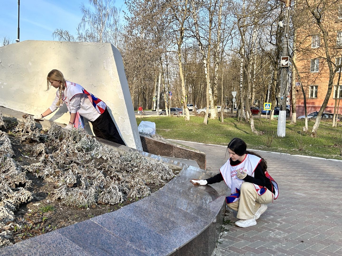 Уборка, волонтеры