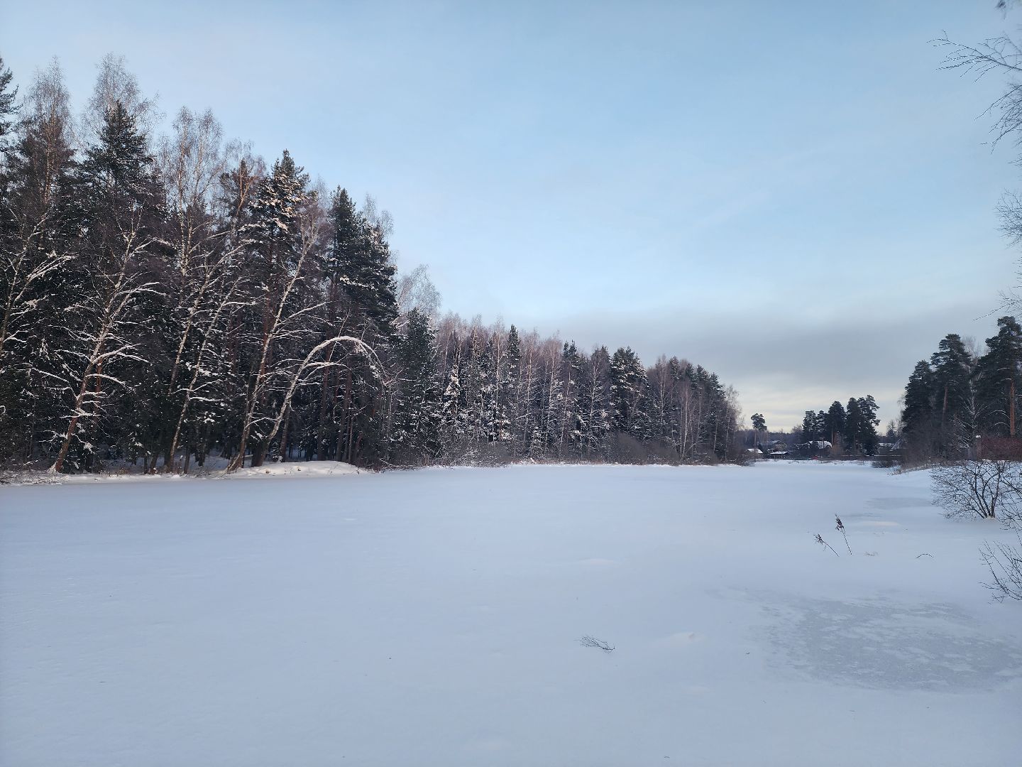 вертикалки, пушкино,