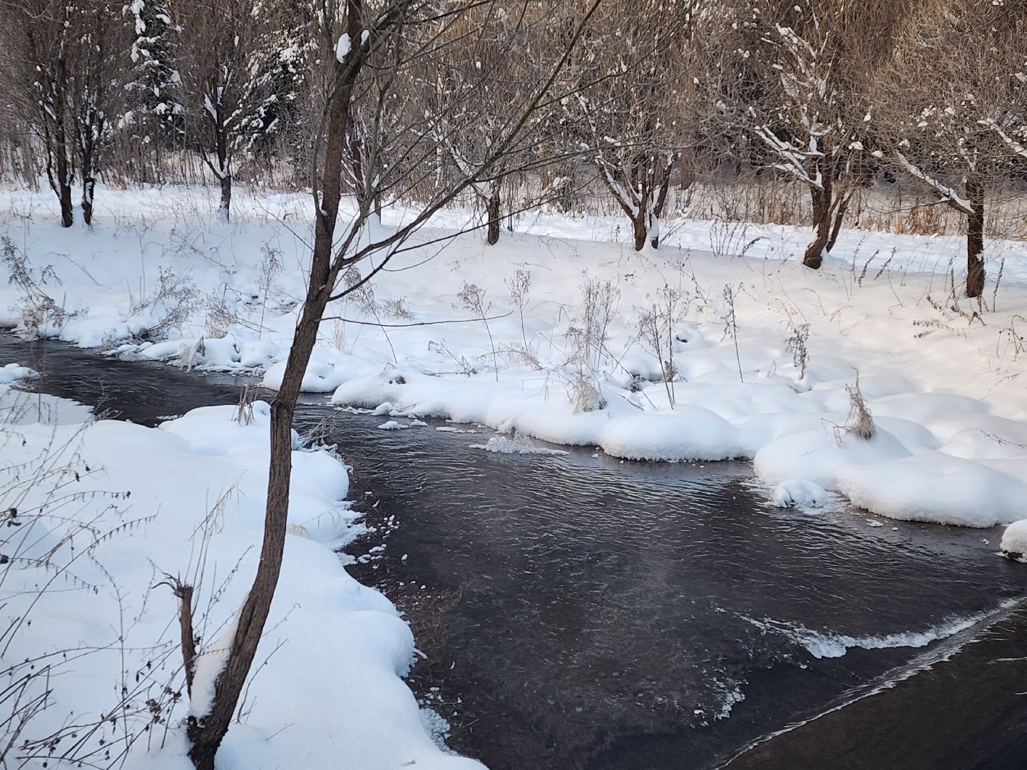 вертикалки, пушкино,