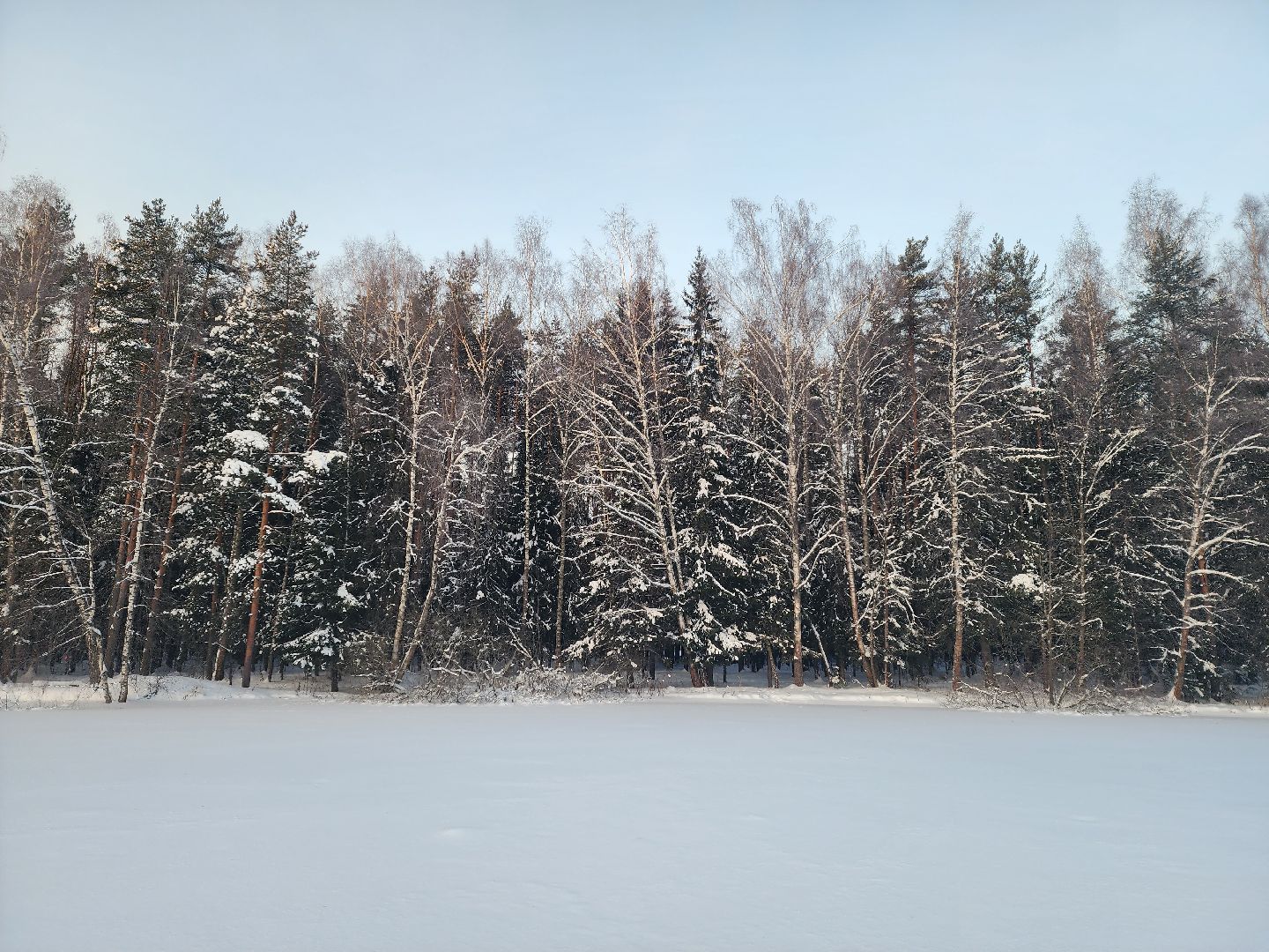 вертикалки, пушкино,