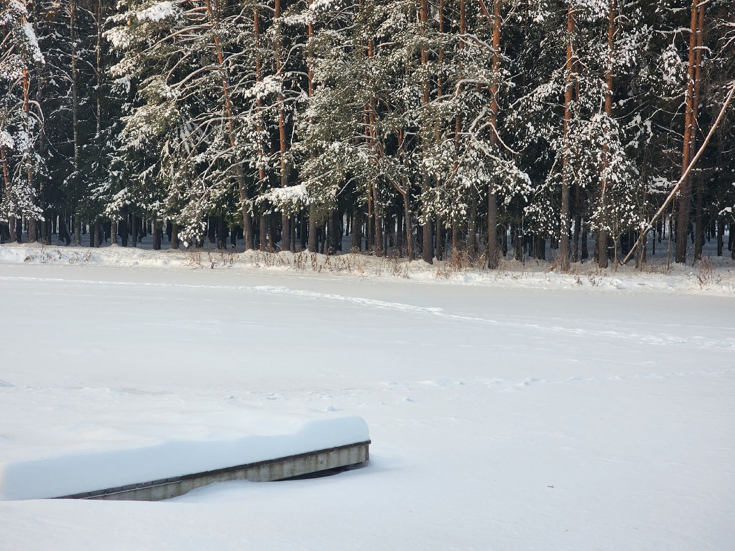 вертикалки, пушкино,