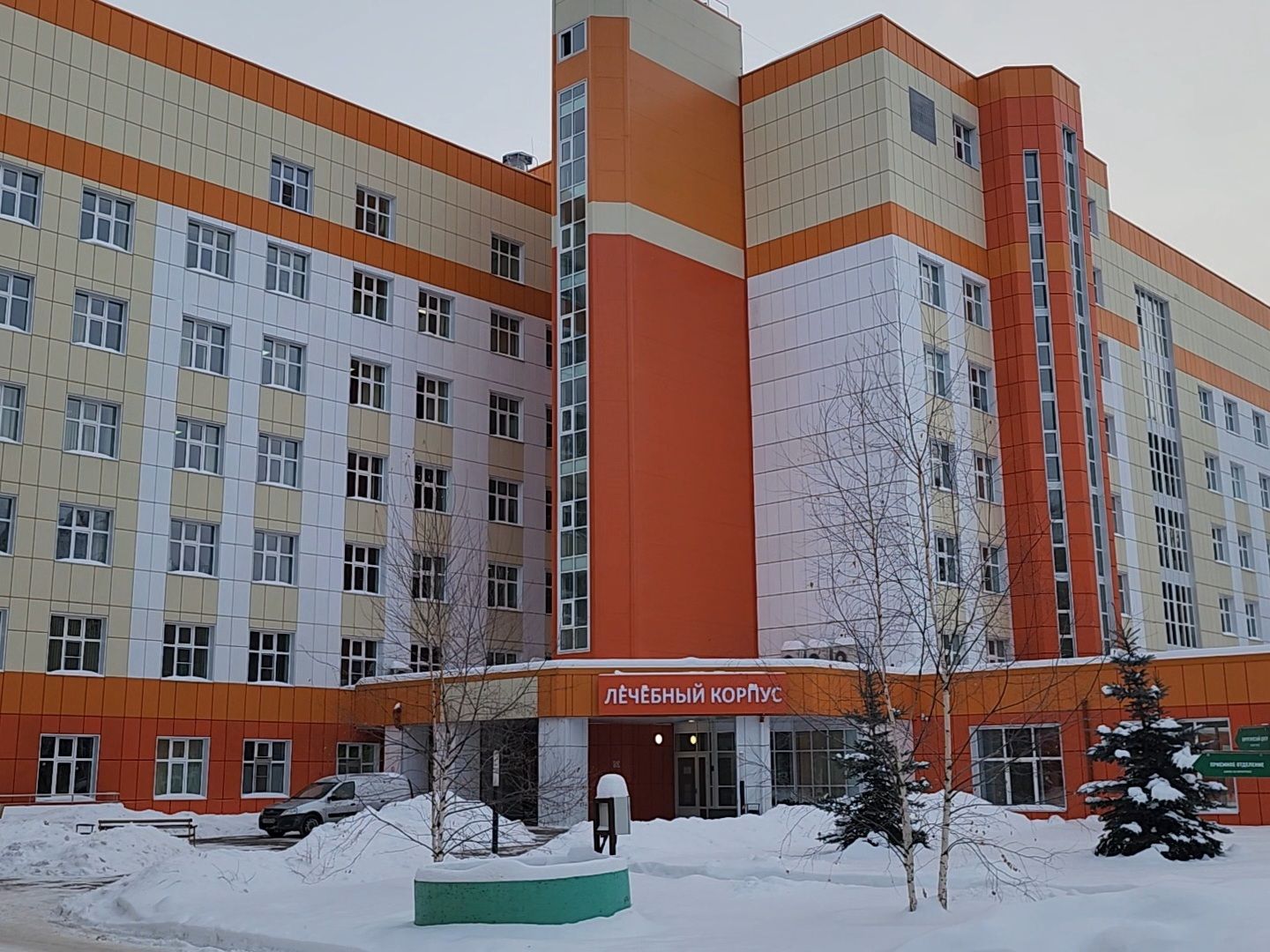 Дубна, Дубненская больница, новогодние украшения, Новогоднее настроение, урологическое отделение, вертикалка,