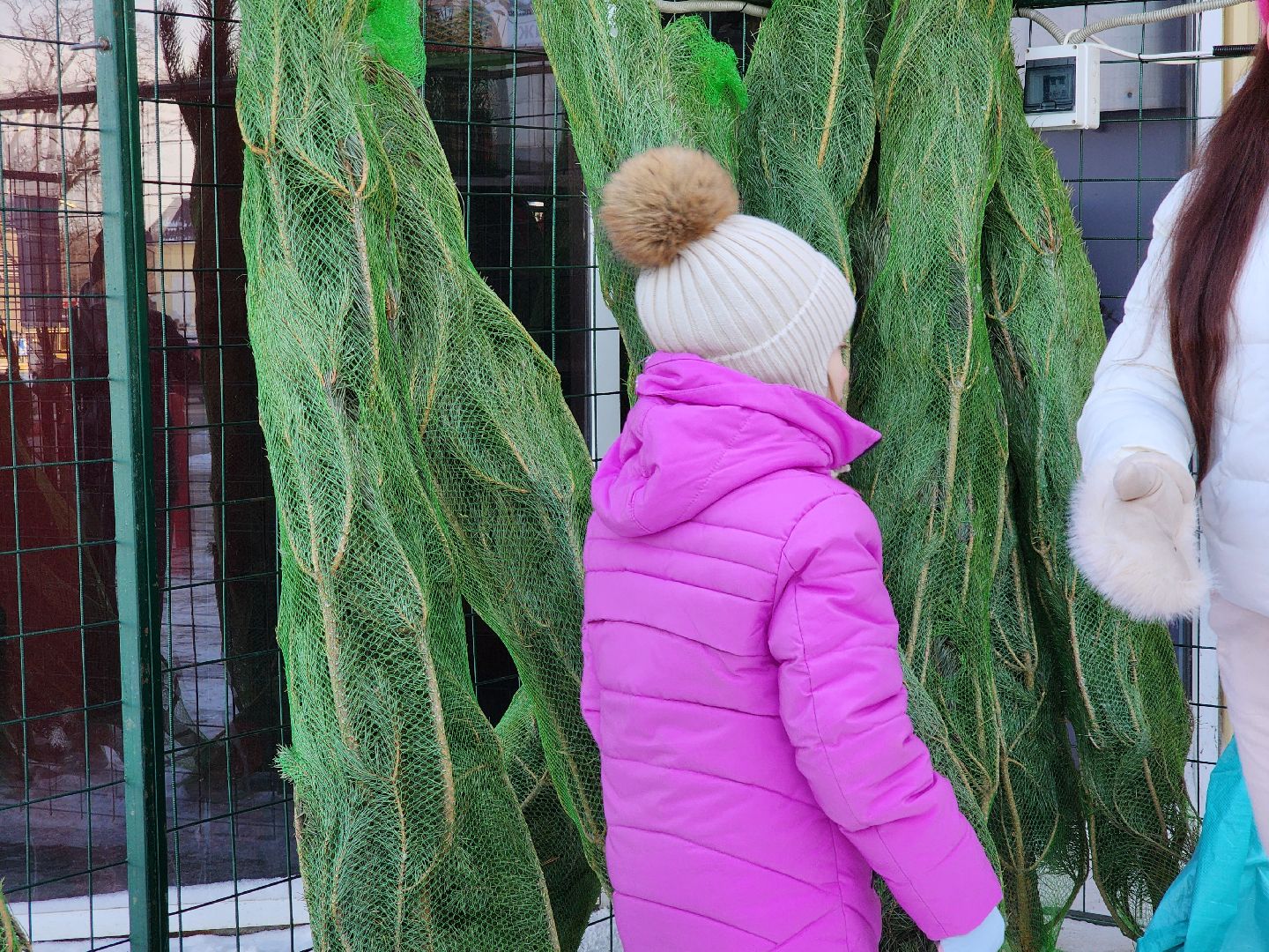 Луховицы, Елочный базар,