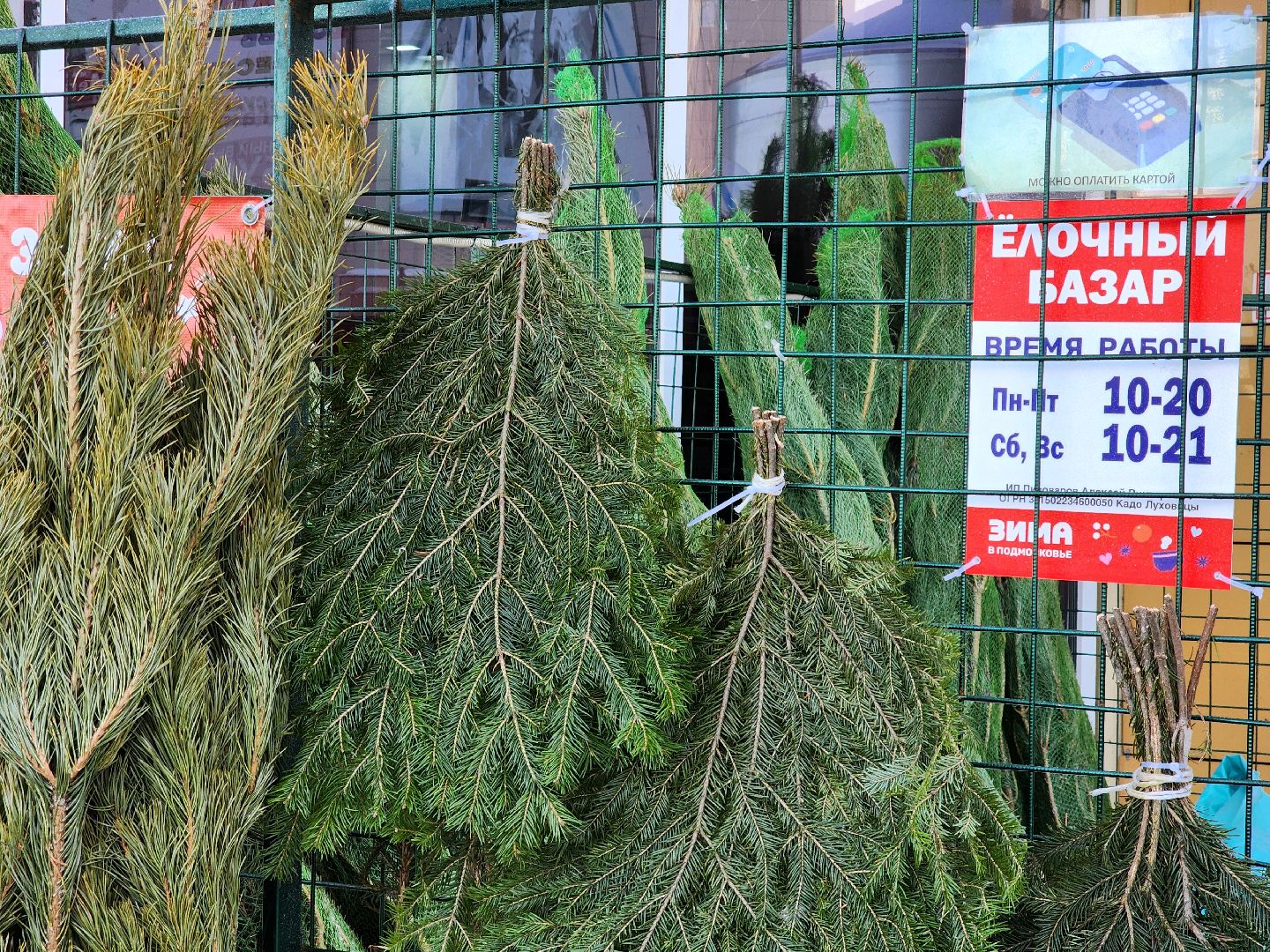 Луховицы, Елочный базар,