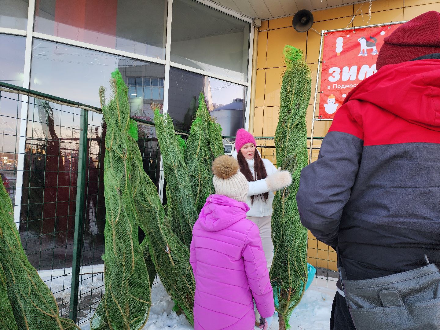 Луховицы, Елочный базар,