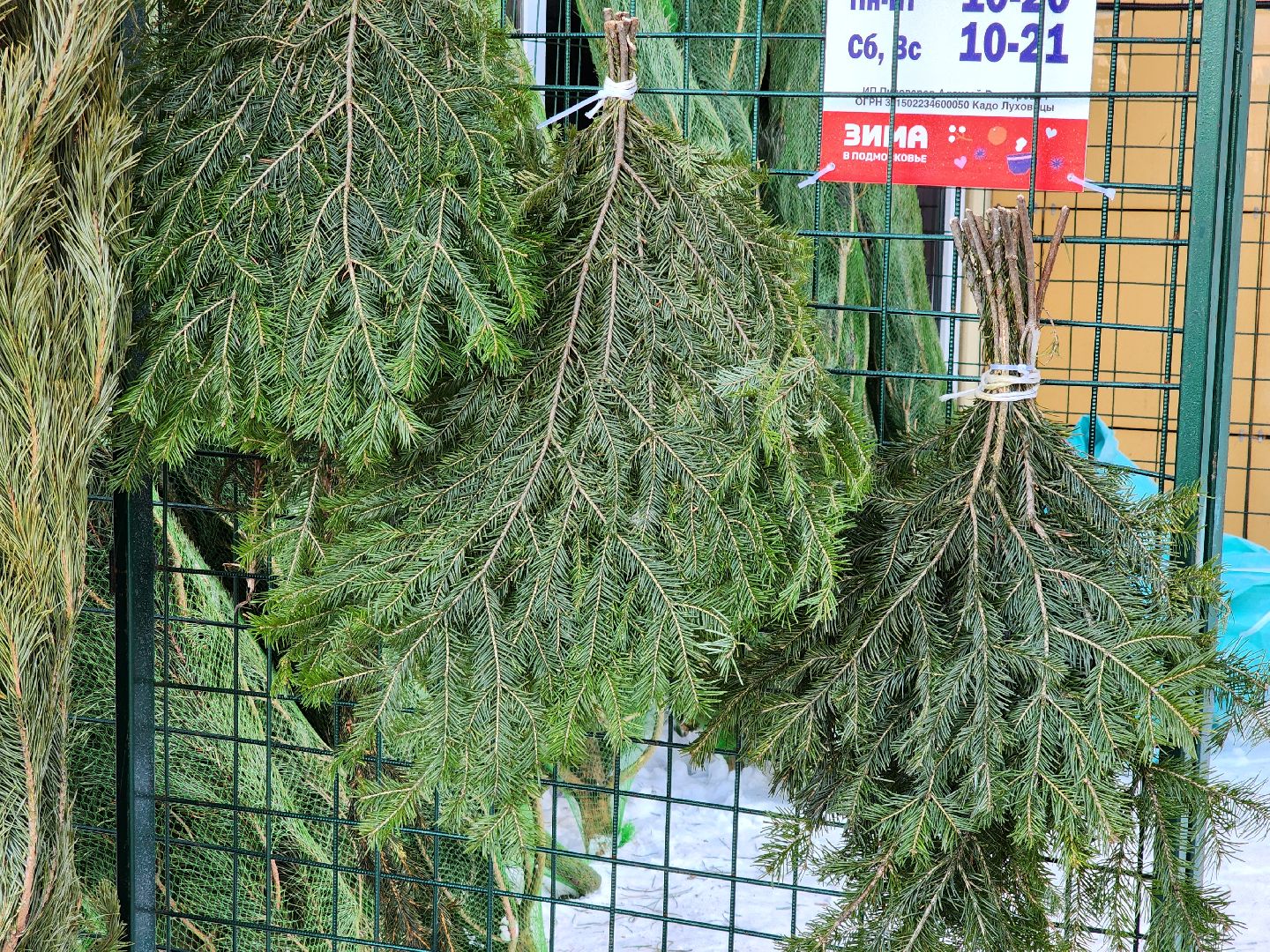 Луховицы, Елочный базар,