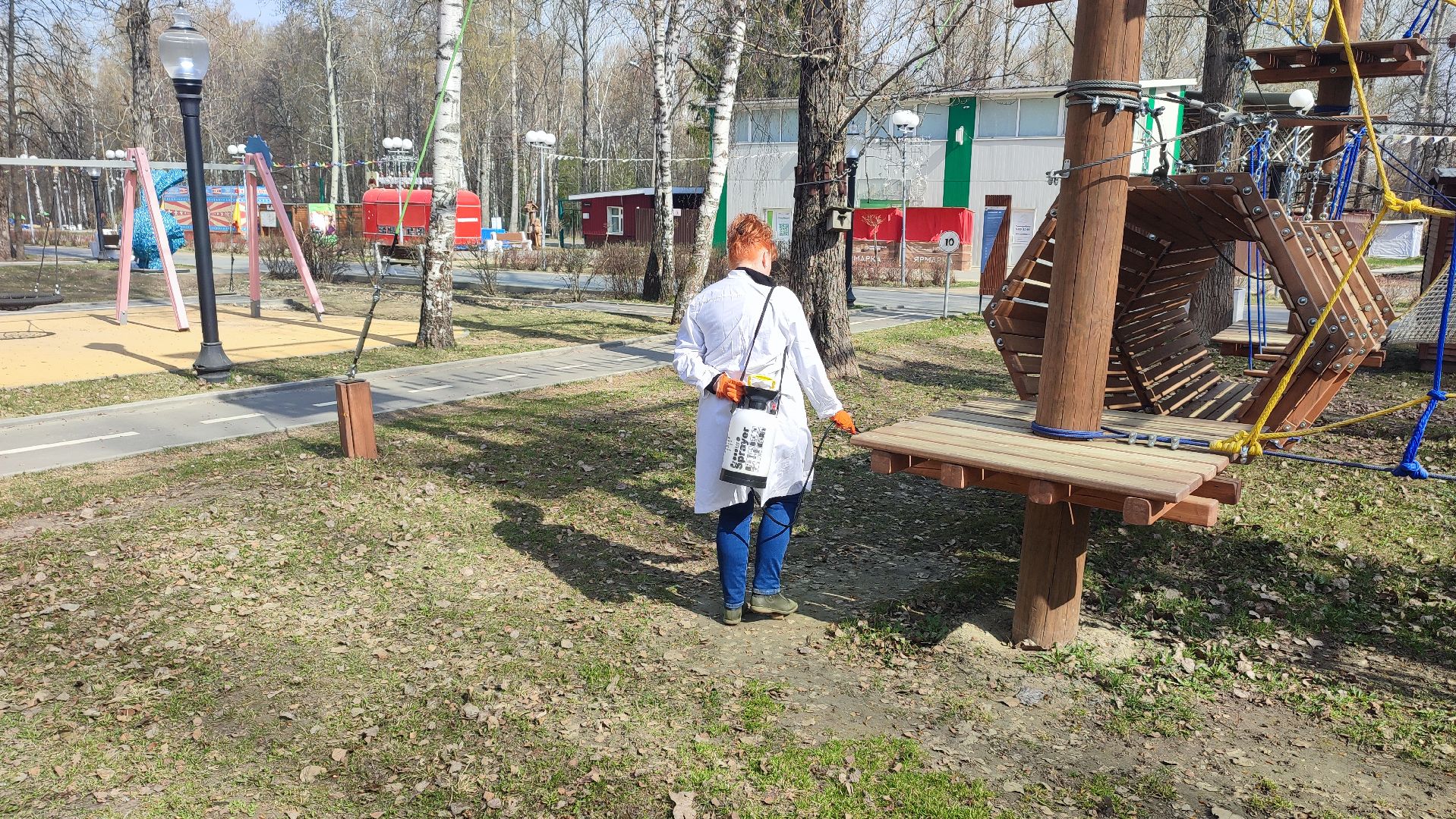 Кашира, парк, клещи, профилактика