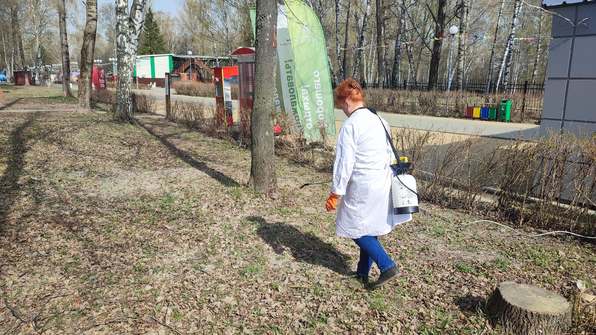 Кашира, парк, клещи, профилактика