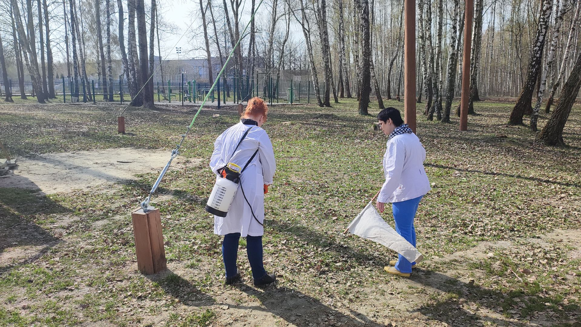 Кашира, парк, клещи, профилактика