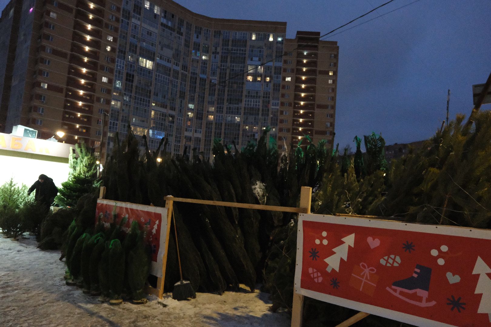 лыткарино, общество, елки, елочный базар, новый год, вертикалки,