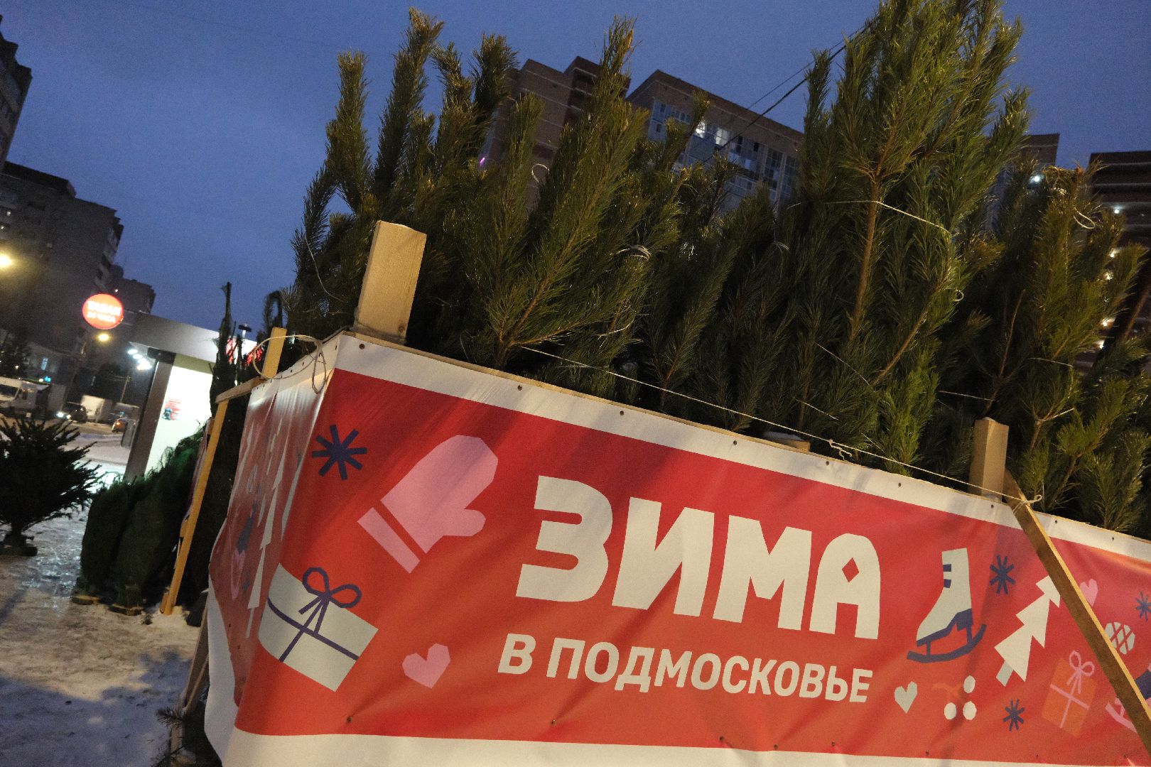 лыткарино, общество, елки, елочный базар, новый год, вертикалки,