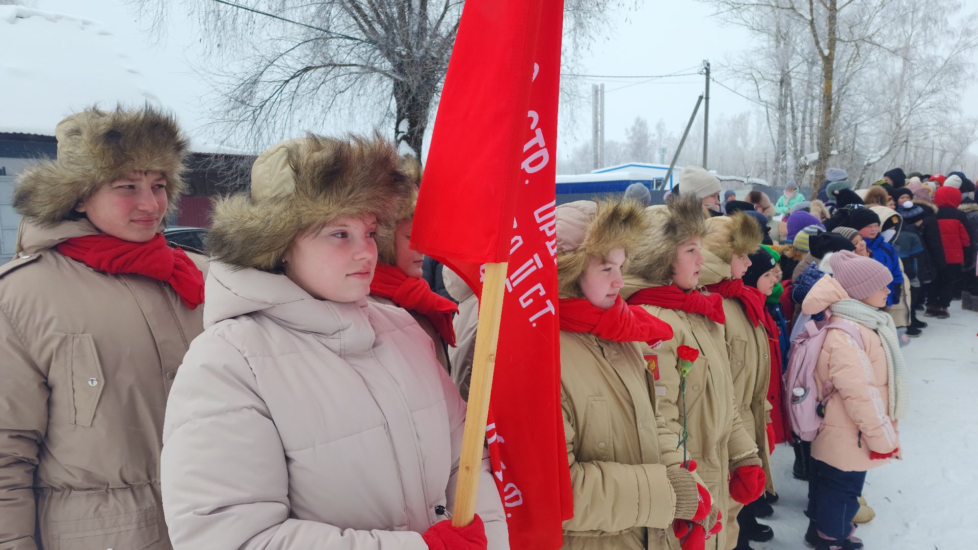 вертикалки,