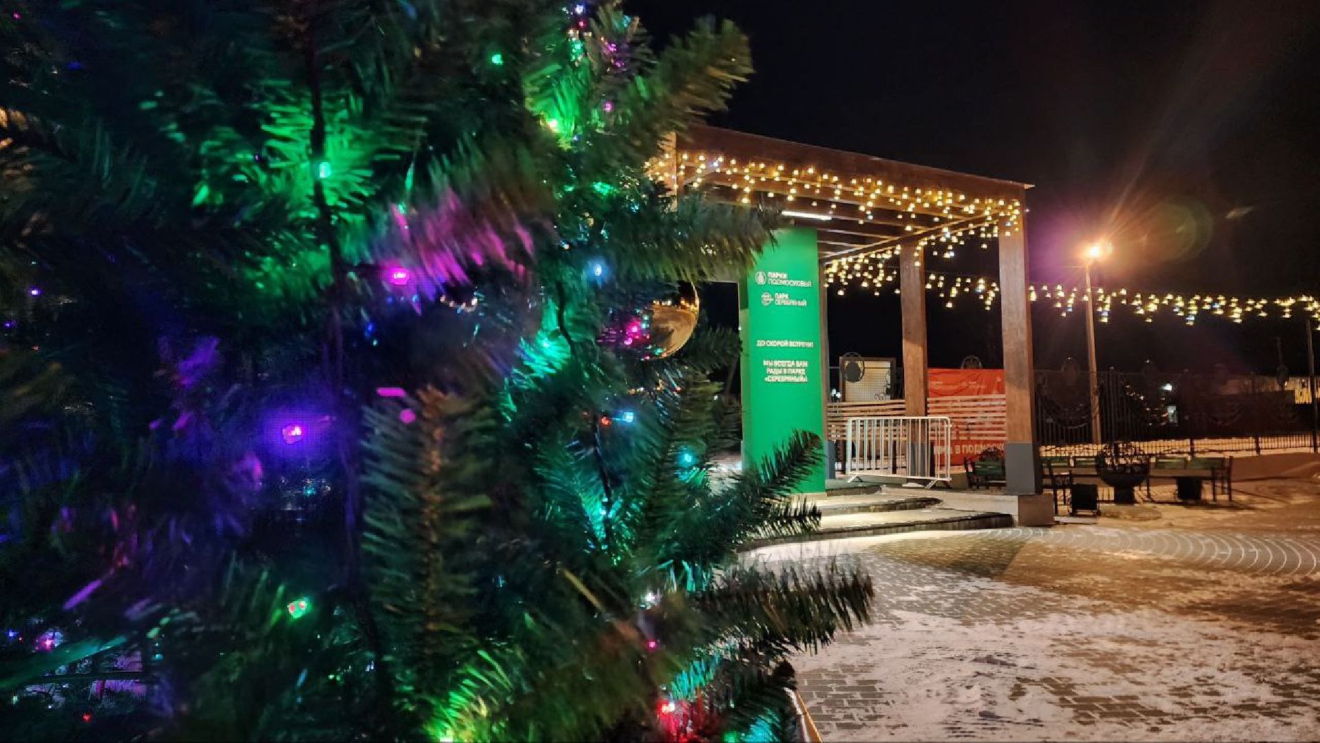 вертикалки, зима в подмосковье, парк Серебряный, Серебряные Пруды, новая елка,