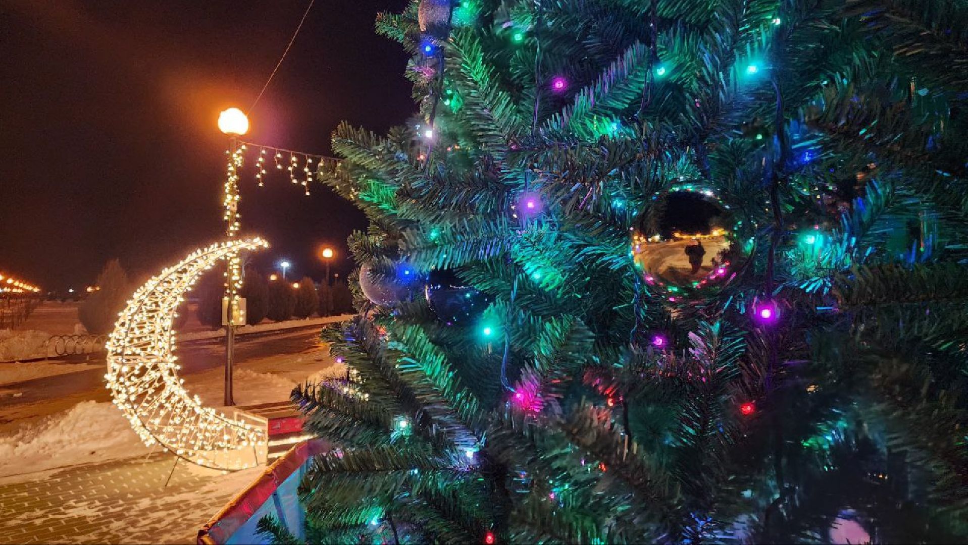 вертикалки, зима в подмосковье, парк Серебряный, Серебряные Пруды, новая елка,