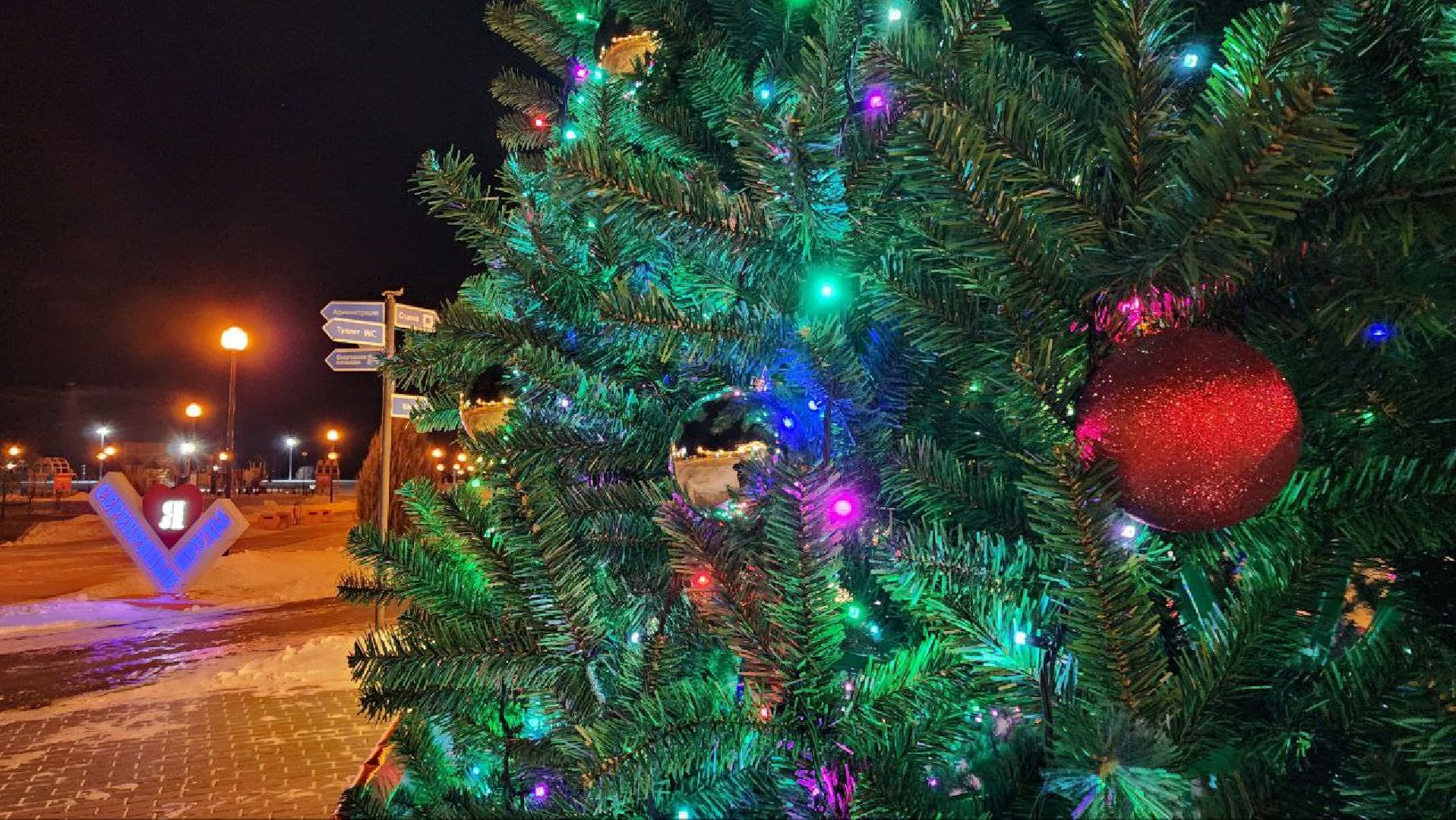 вертикалки, зима в подмосковье, парк Серебряный, Серебряные Пруды, новая елка,