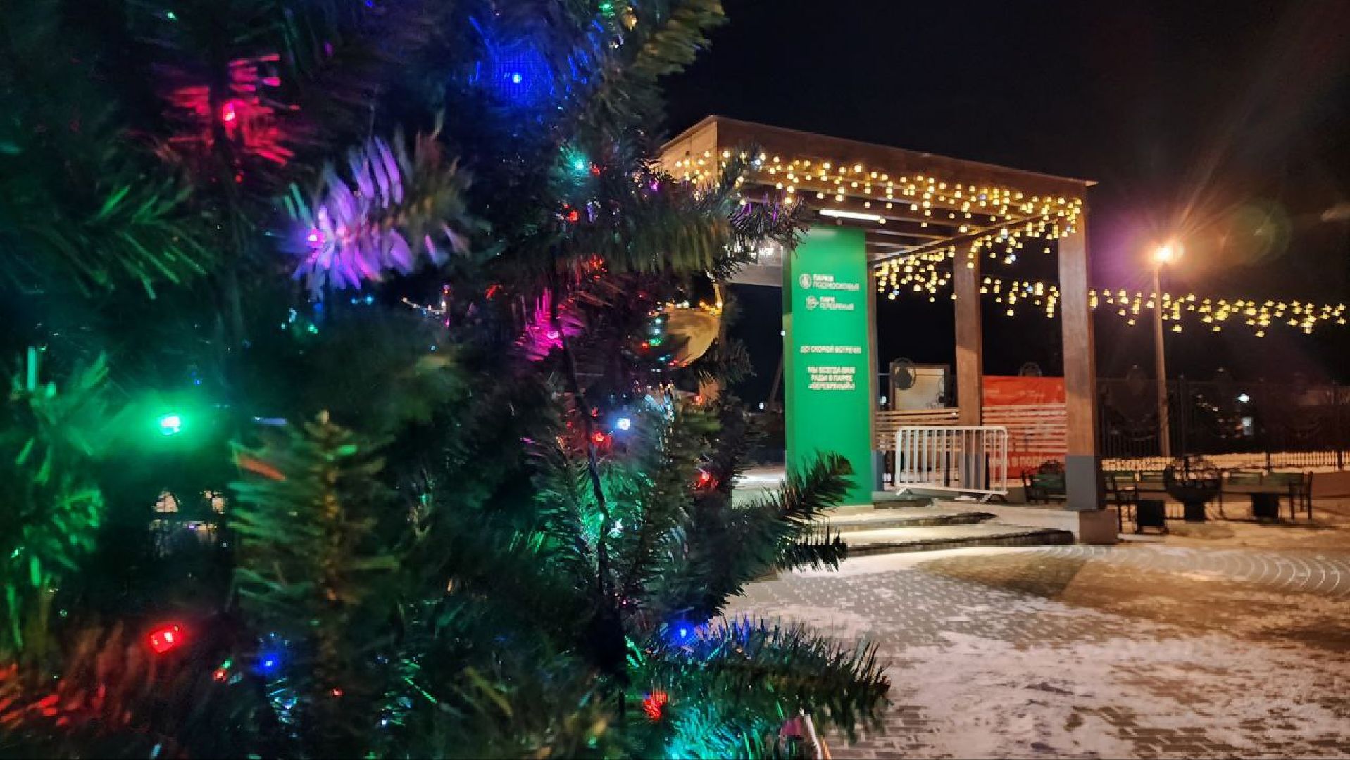 вертикалки, зима в подмосковье, парк Серебряный, Серебряные Пруды, новая елка,