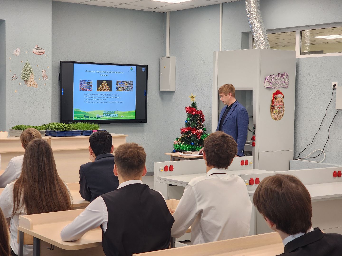 вертикалки, пушкино,