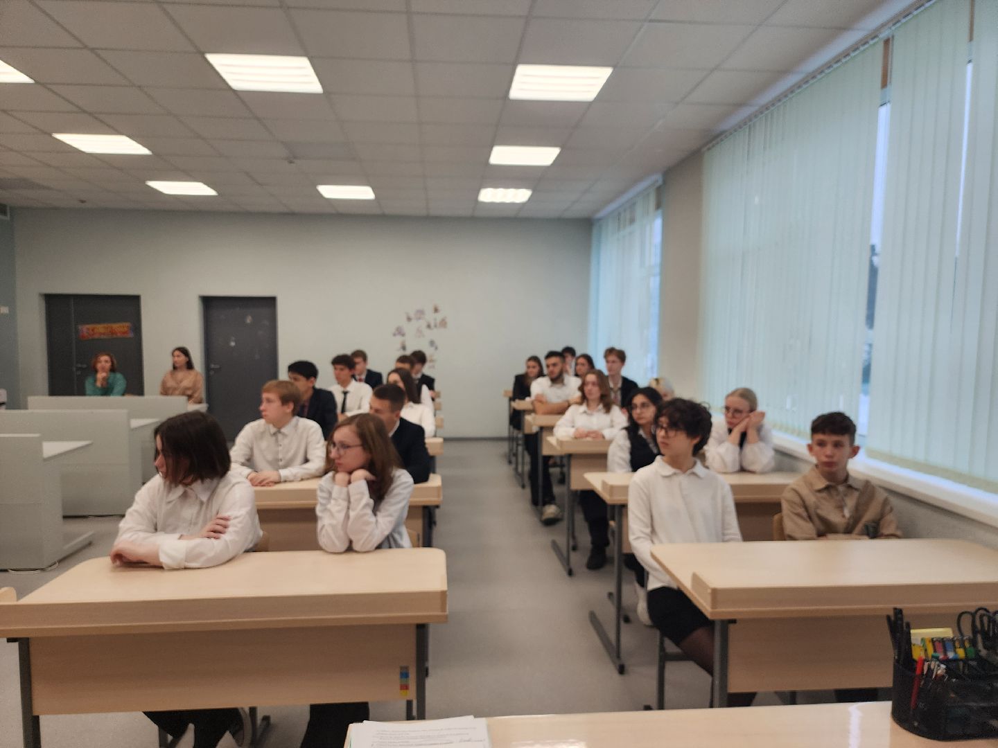 вертикалки, пушкино,