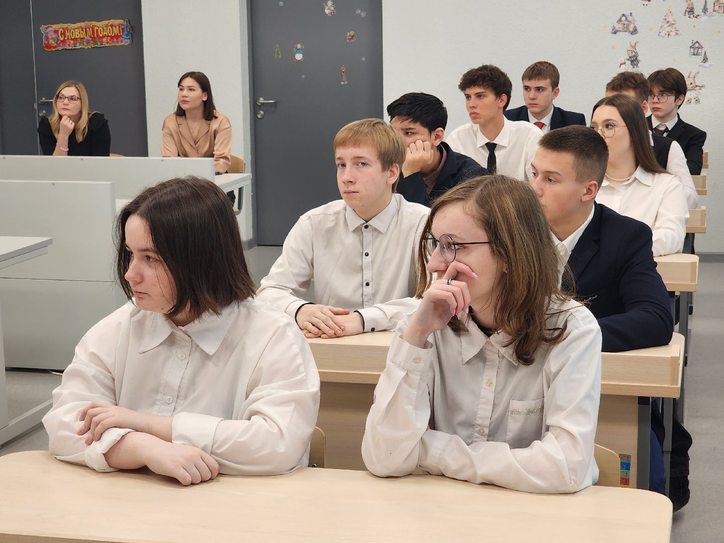 вертикалки, пушкино,