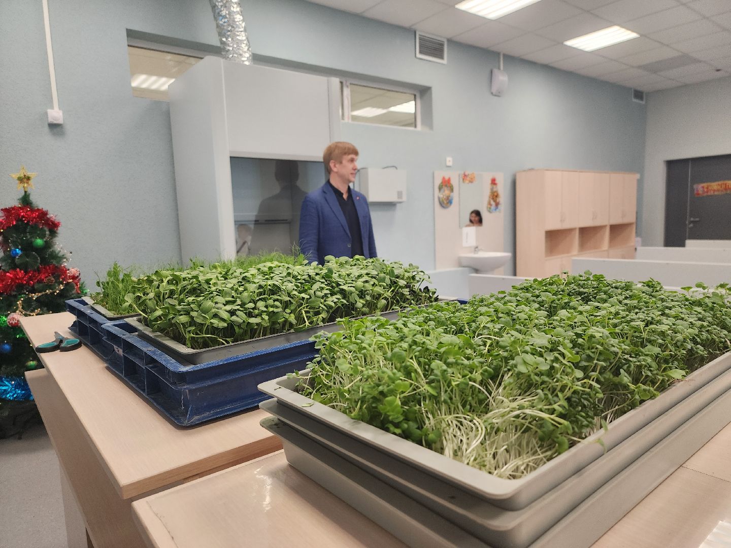 вертикалки, пушкино,