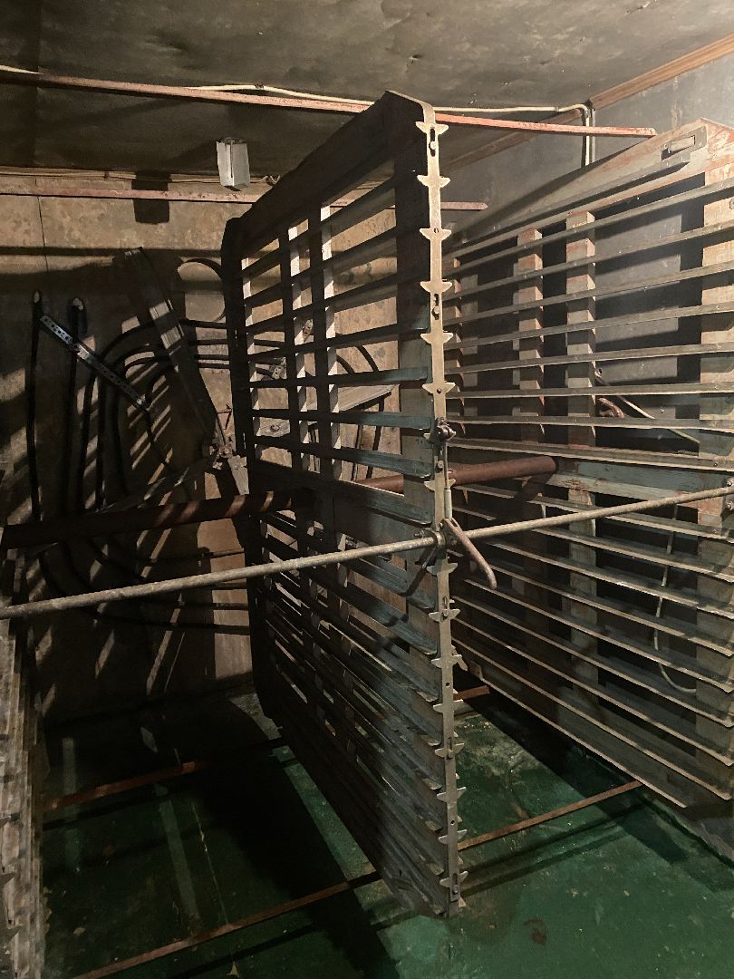 Чехов, ферма, гуси, инкубатор, яйца