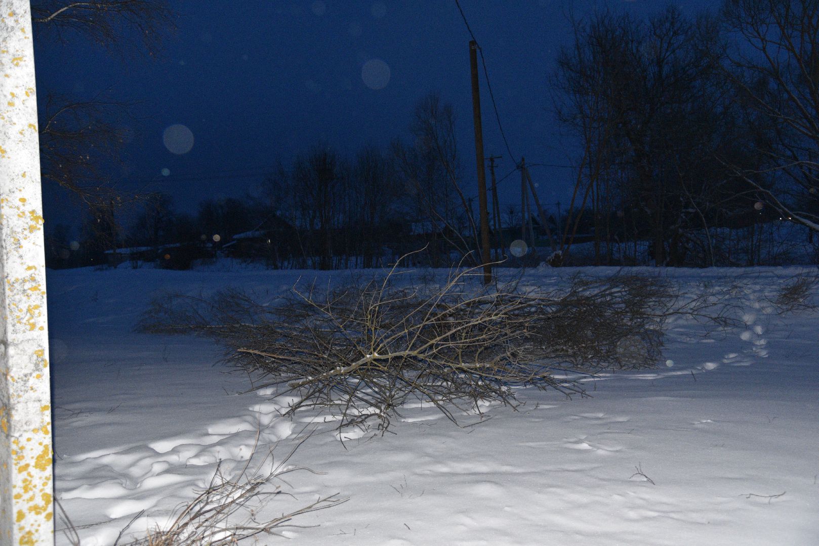 лотошино, благоустройство, энергетики, выездная администрация, глава администрации, глава городского округа, вертикалки,