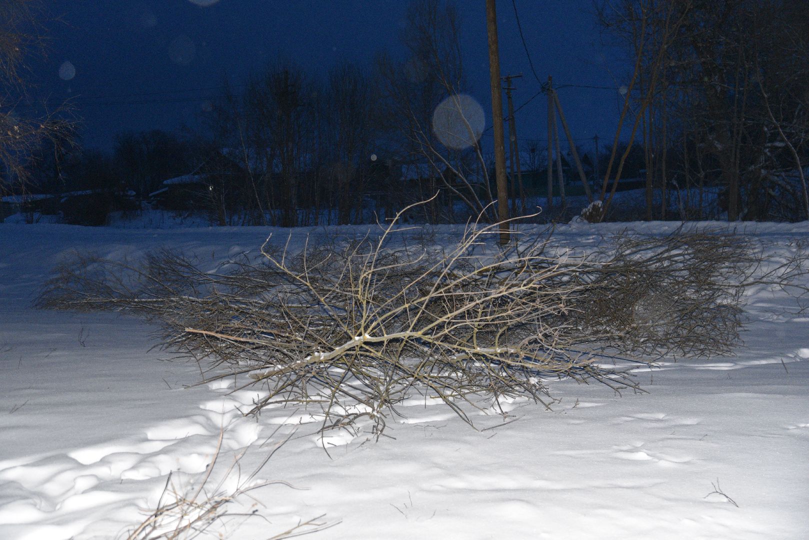 лотошино, благоустройство, энергетики, выездная администрация, глава администрации, глава городского округа, вертикалки,