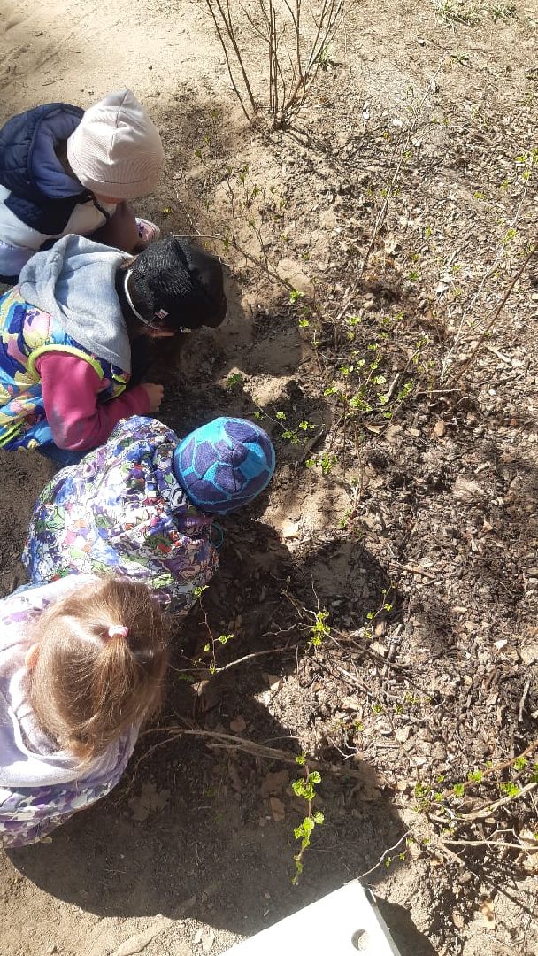 Протвино, образование, весна, ОВЗ, реабилитация