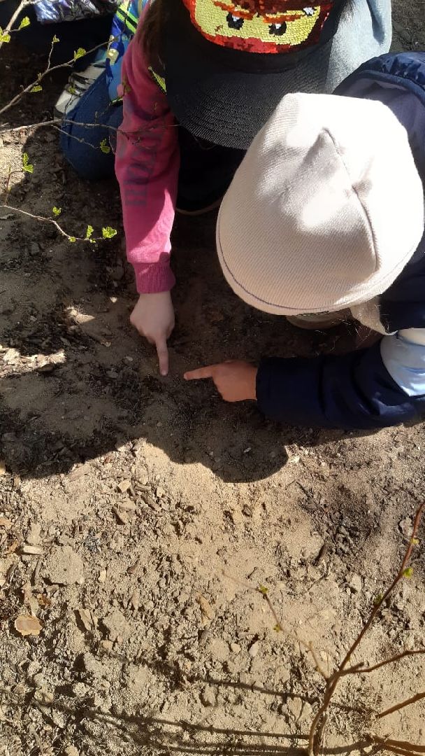 Протвино, образование, весна, ОВЗ, реабилитация