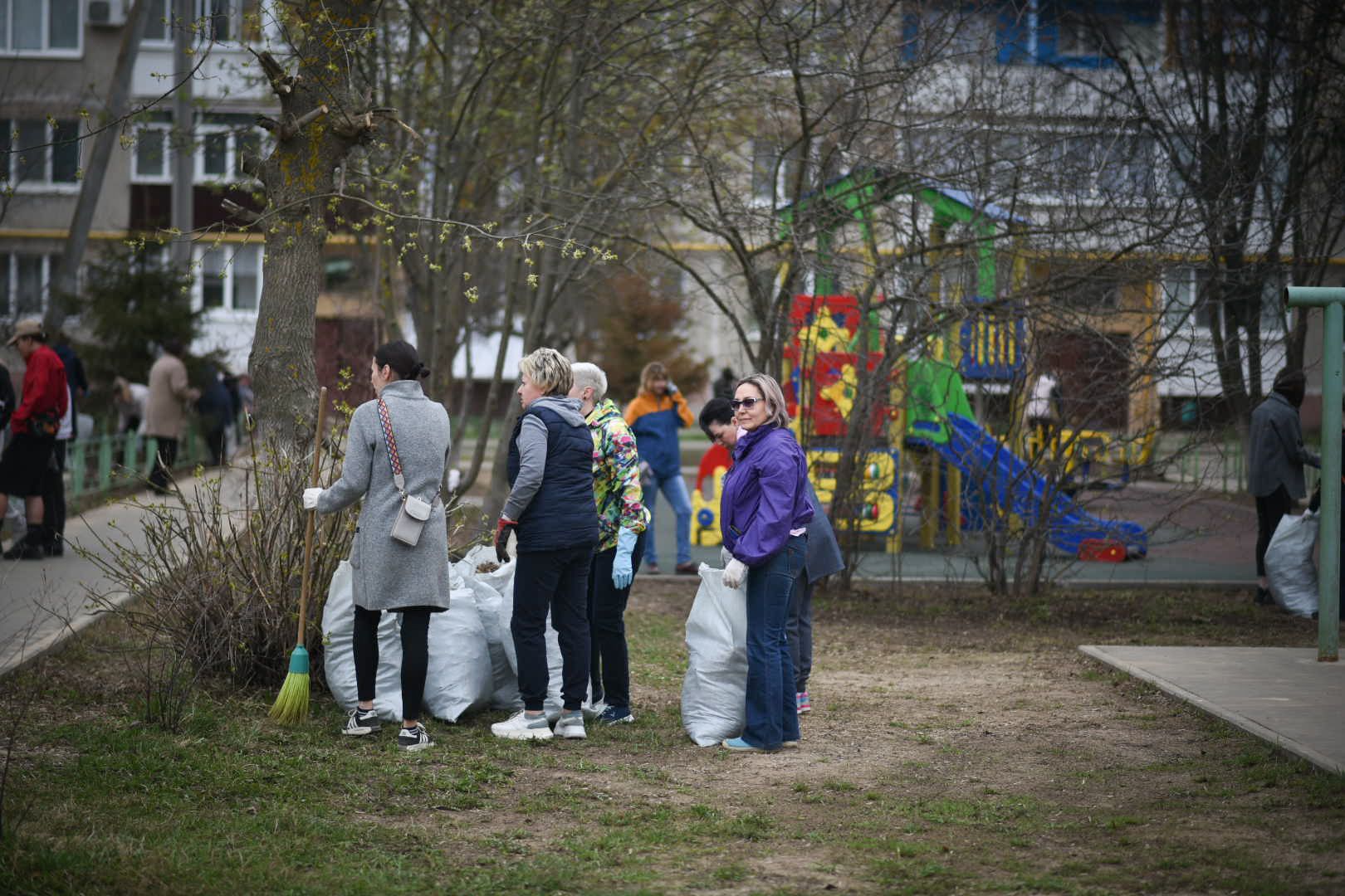 Зарайск, Субботник