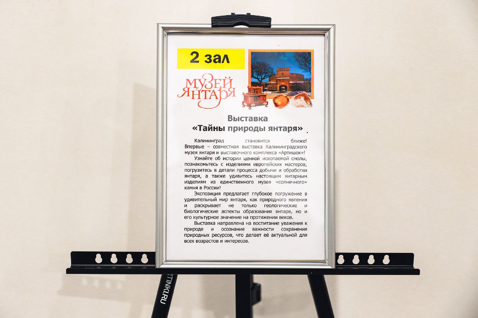 Янтарь, Выставка, Музей, химки,
