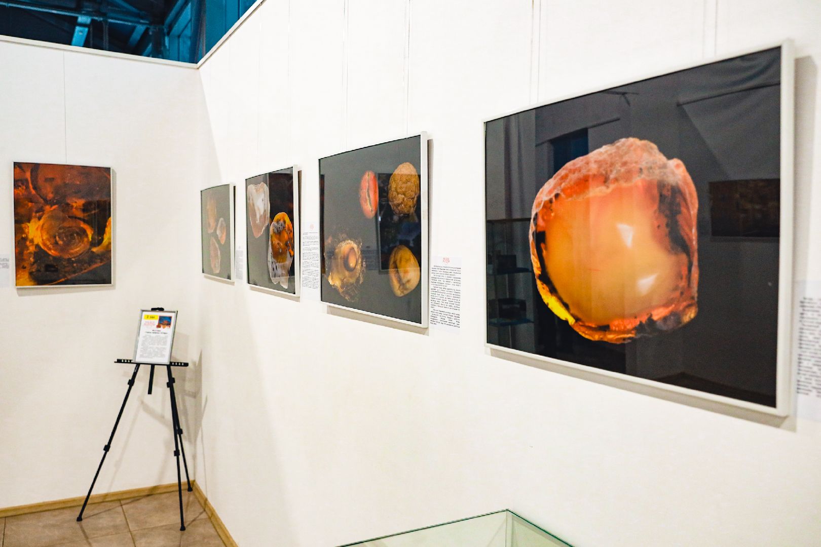 Янтарь, Выставка, Музей, химки,