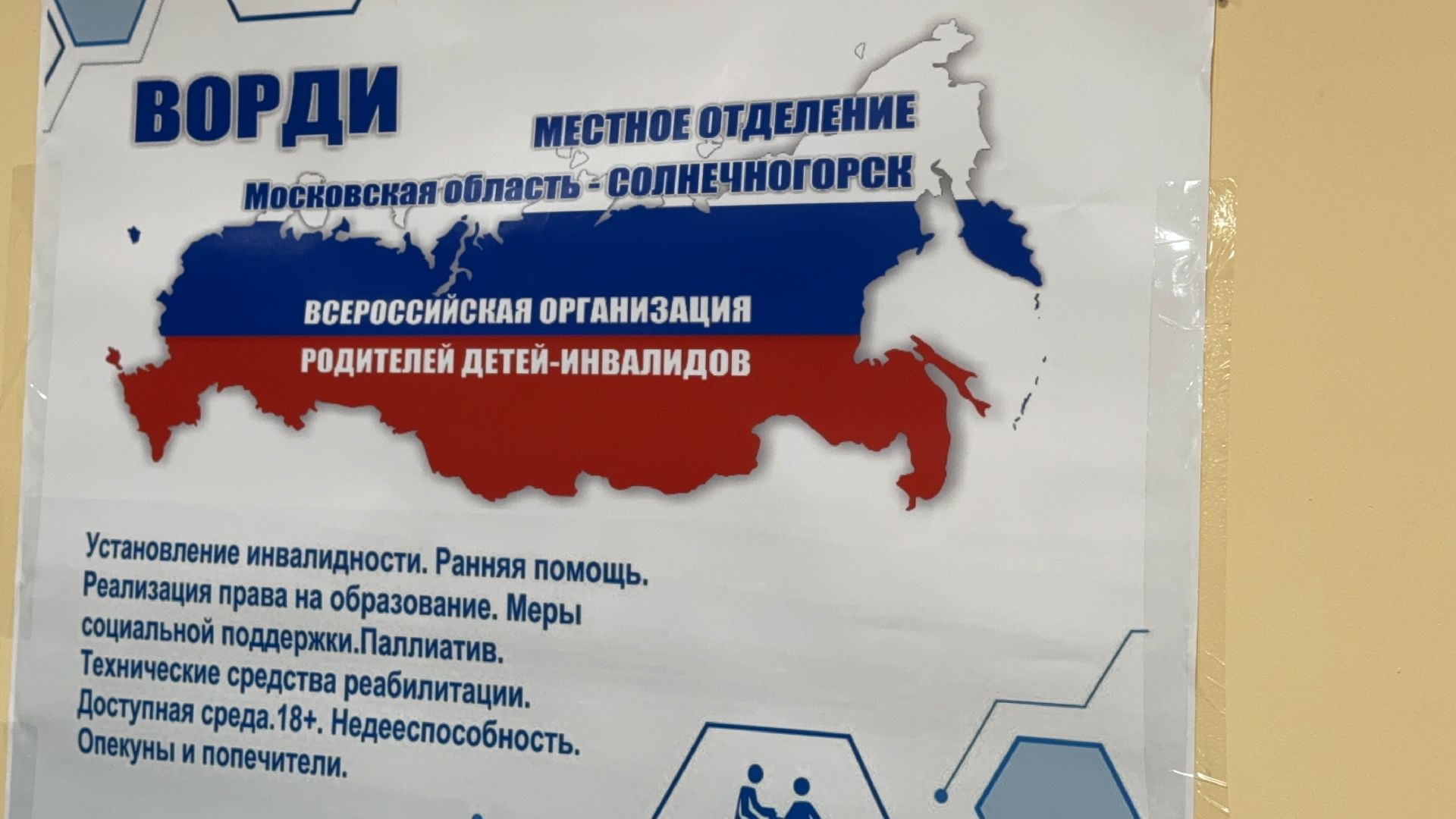 Солнечногорск, Праздник, Новогодняя елка, Дети с овз, вертикалки,