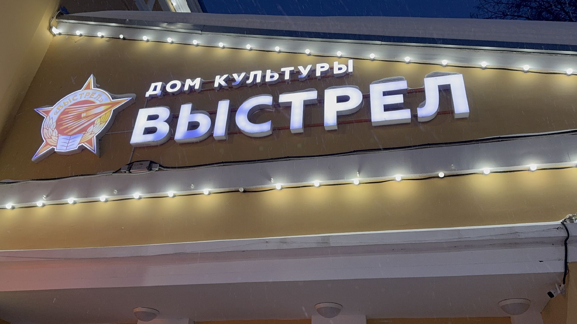 Солнечногорск, Праздник, Новогодняя елка, Дети с овз, вертикалки,