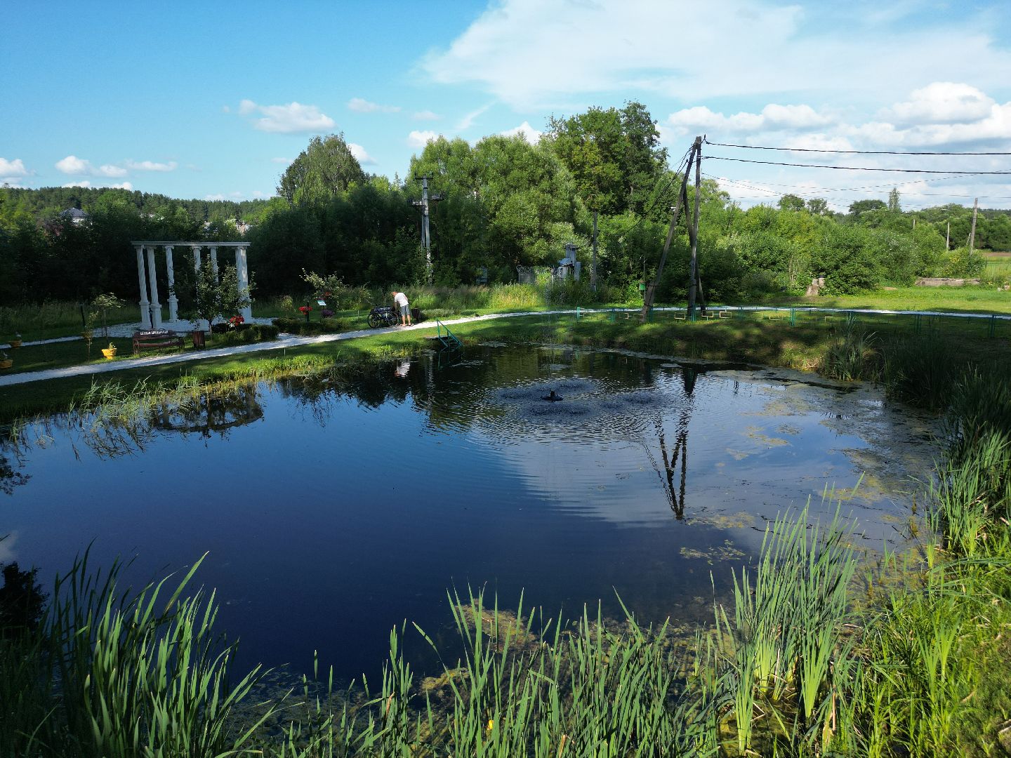 видео с коптера, талдом, городской парк,