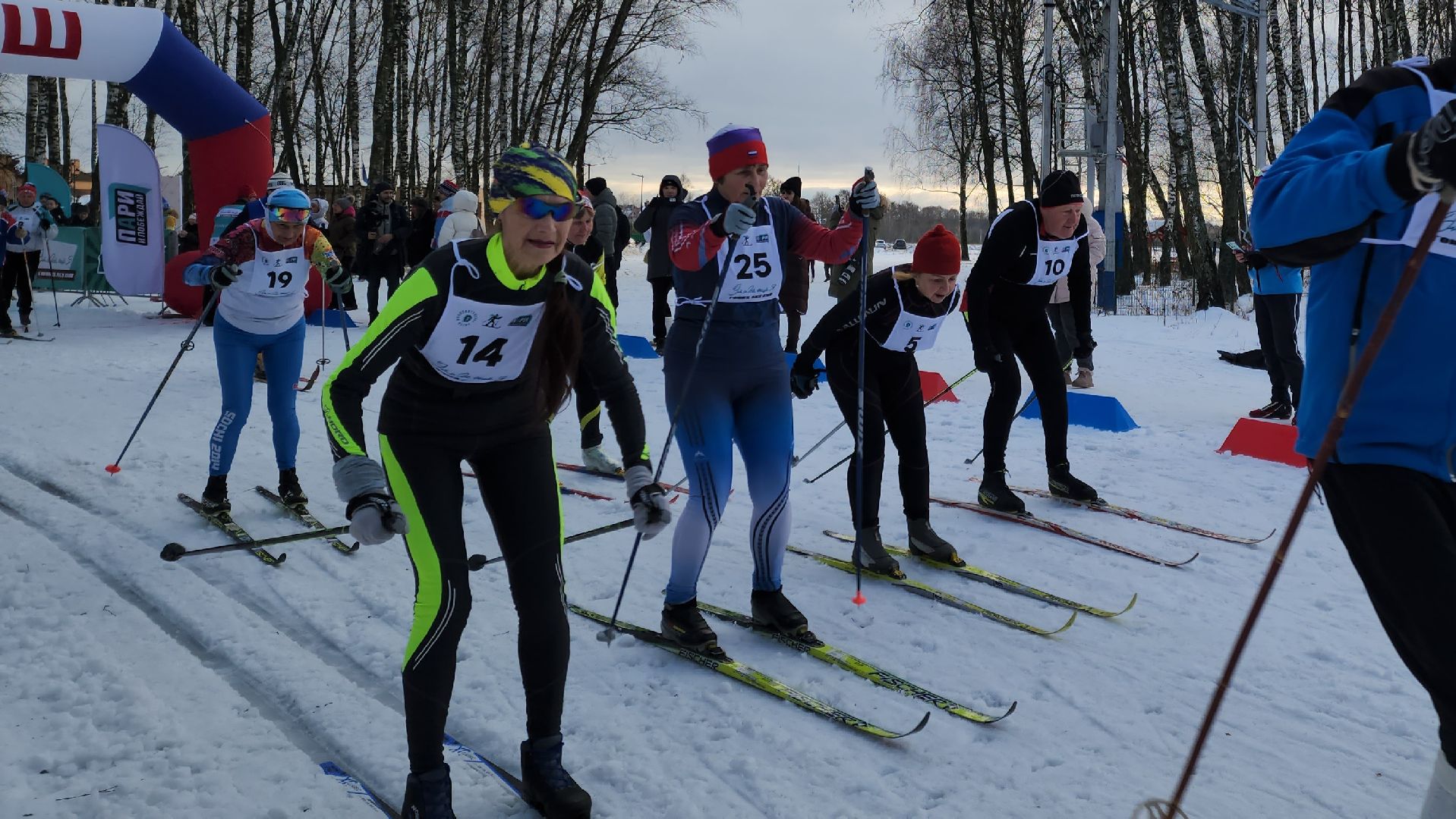 подольск, лыжная гонка, дубровицкий лес, легенды лыжного спорта, чемпионы,