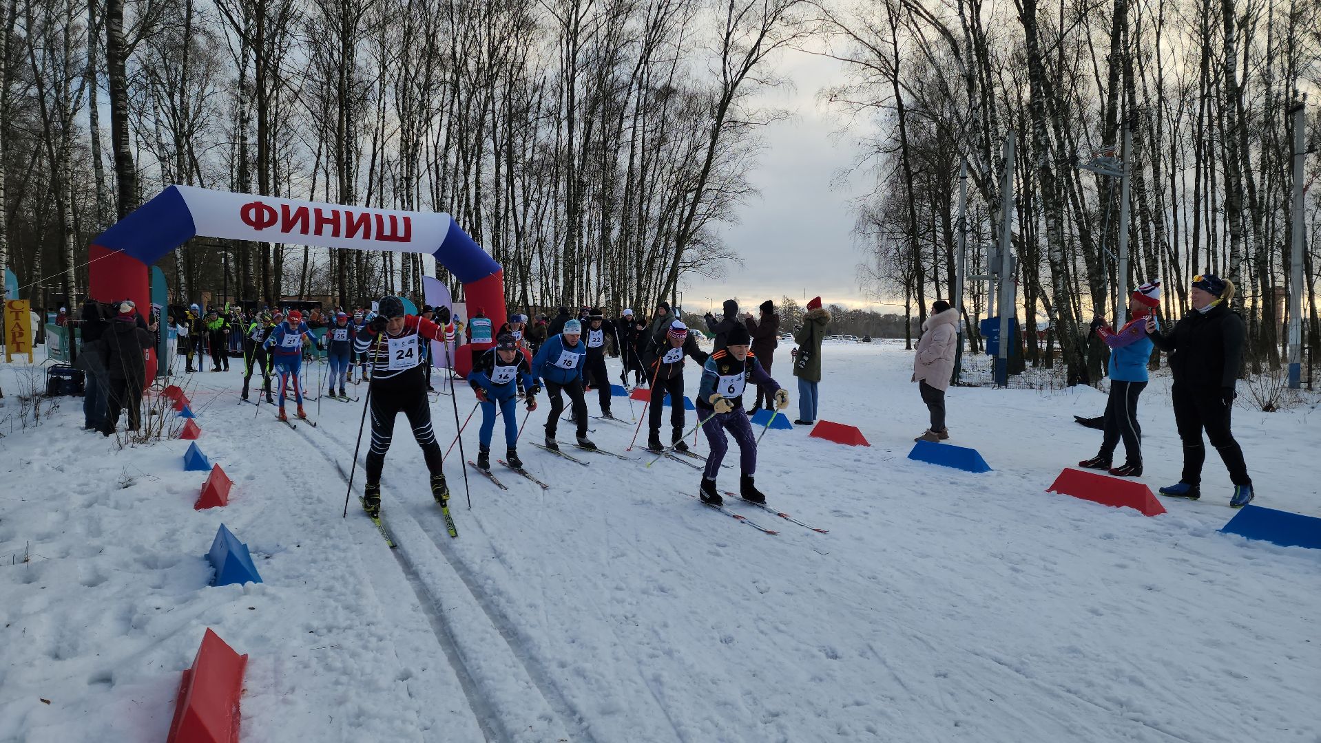 подольск, лыжная гонка, дубровицкий лес, легенды лыжного спорта, чемпионы,