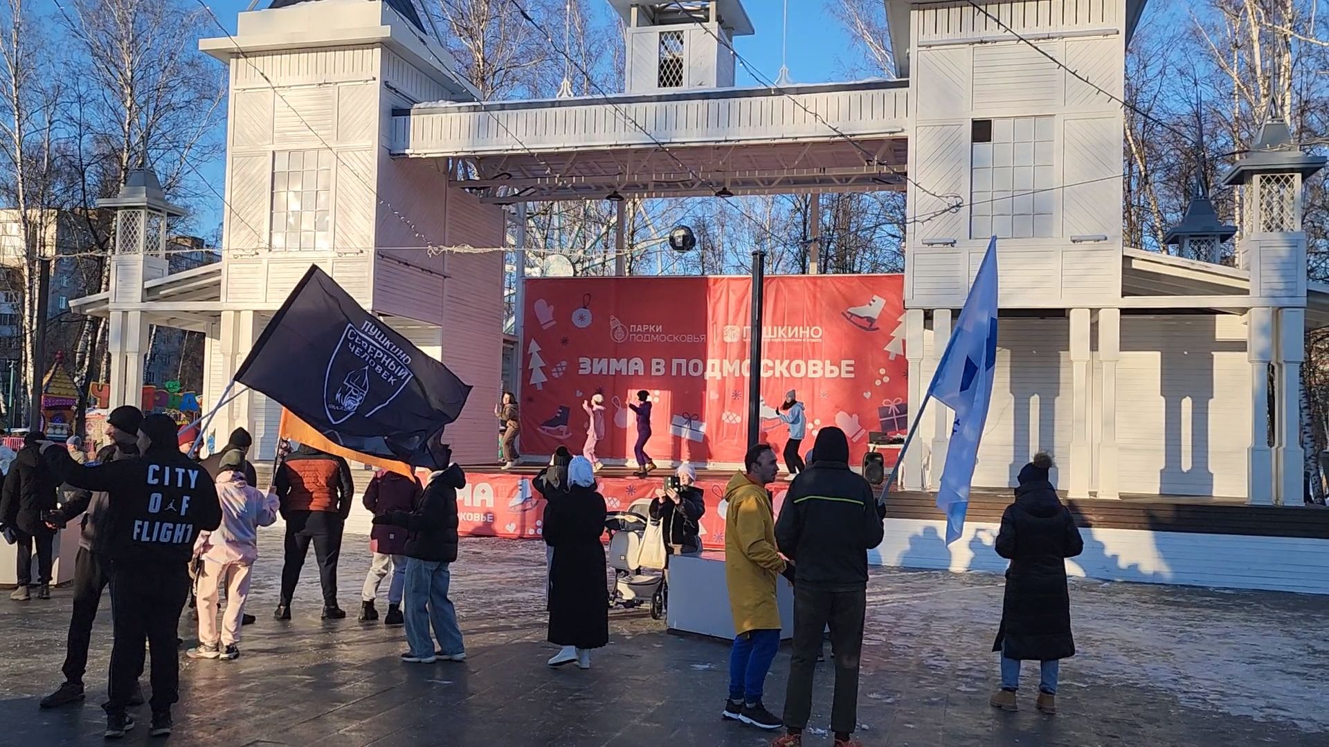 вертикалки, пушкино,