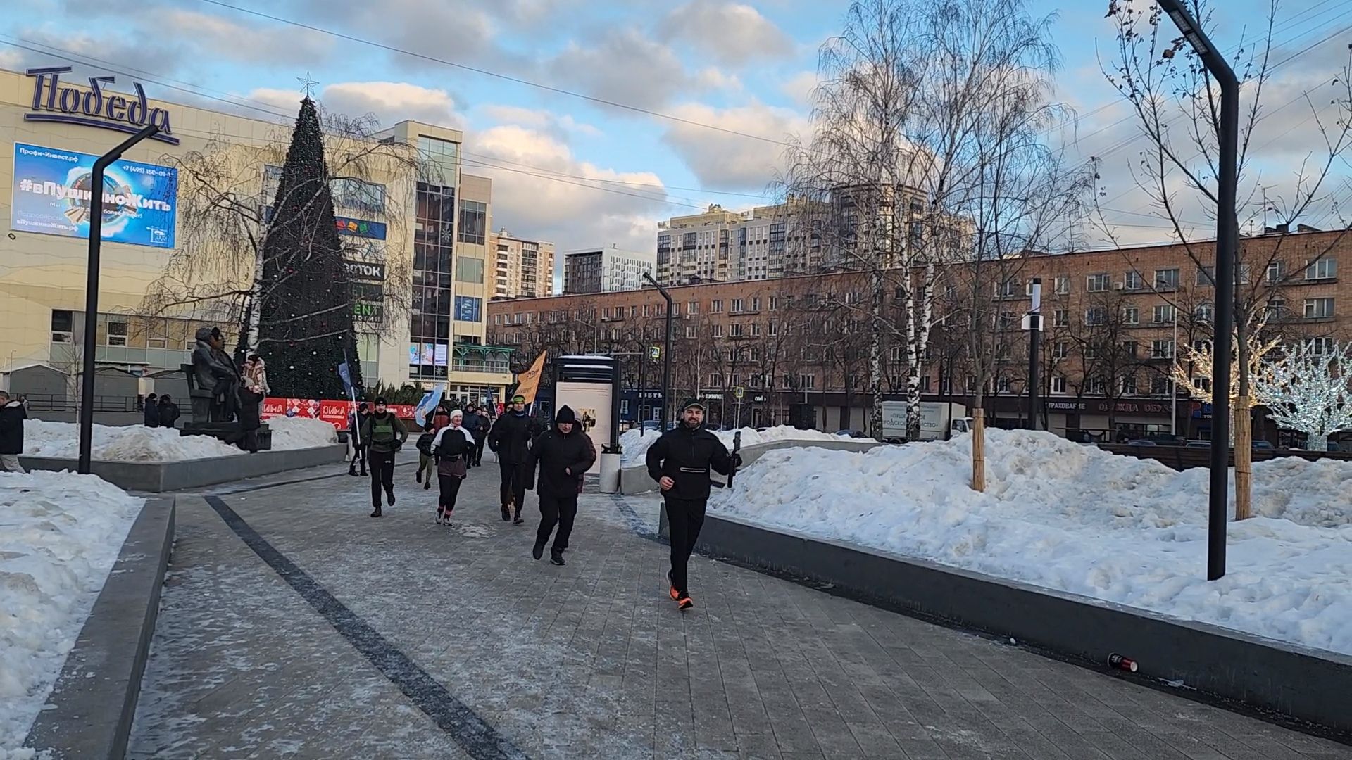 вертикалки, пушкино,