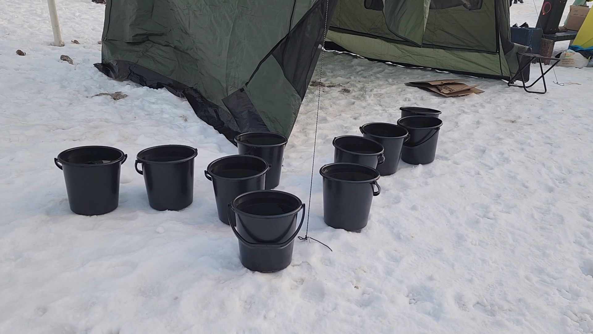 вертикалки, пушкино,