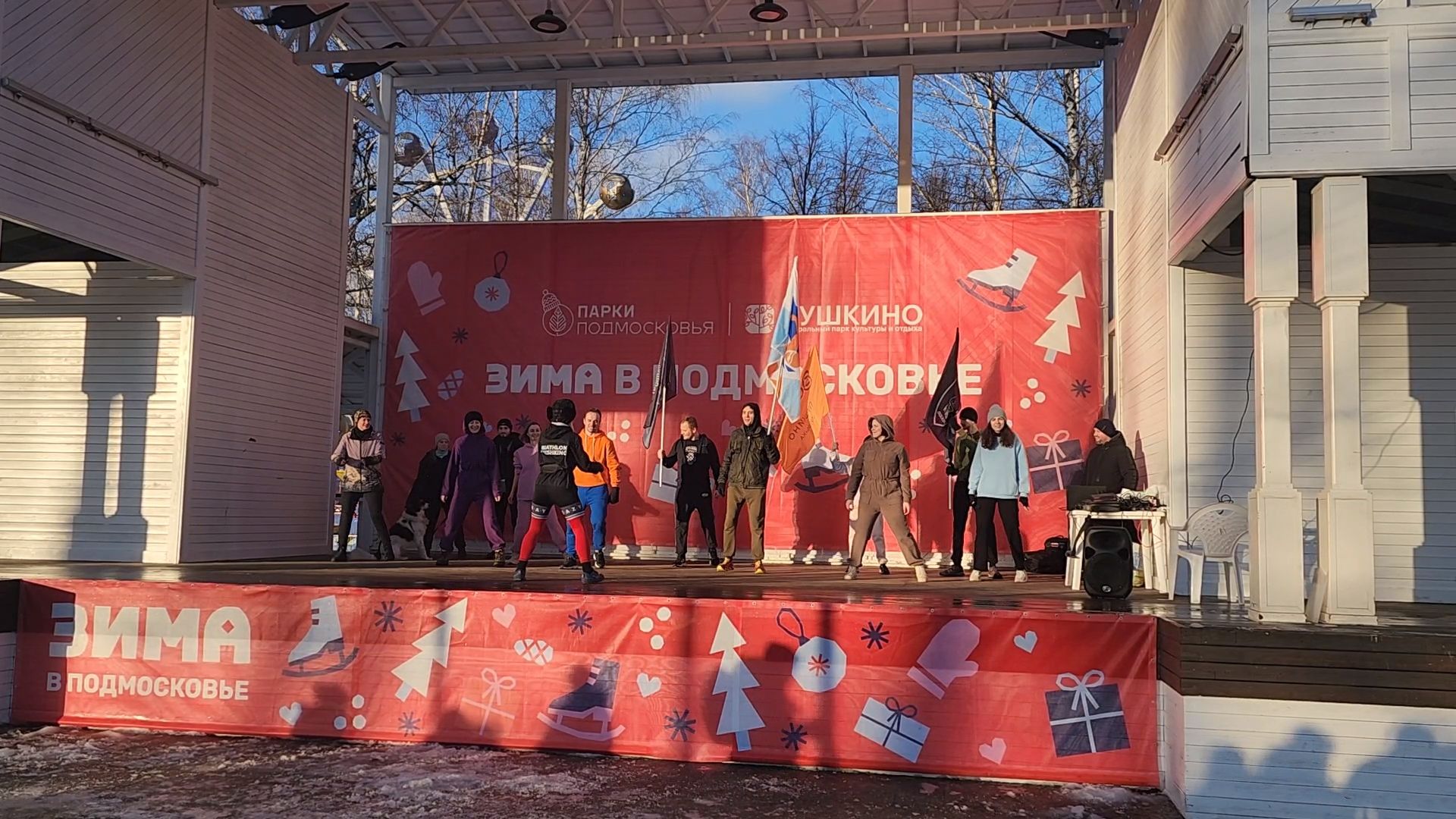 вертикалки, пушкино,