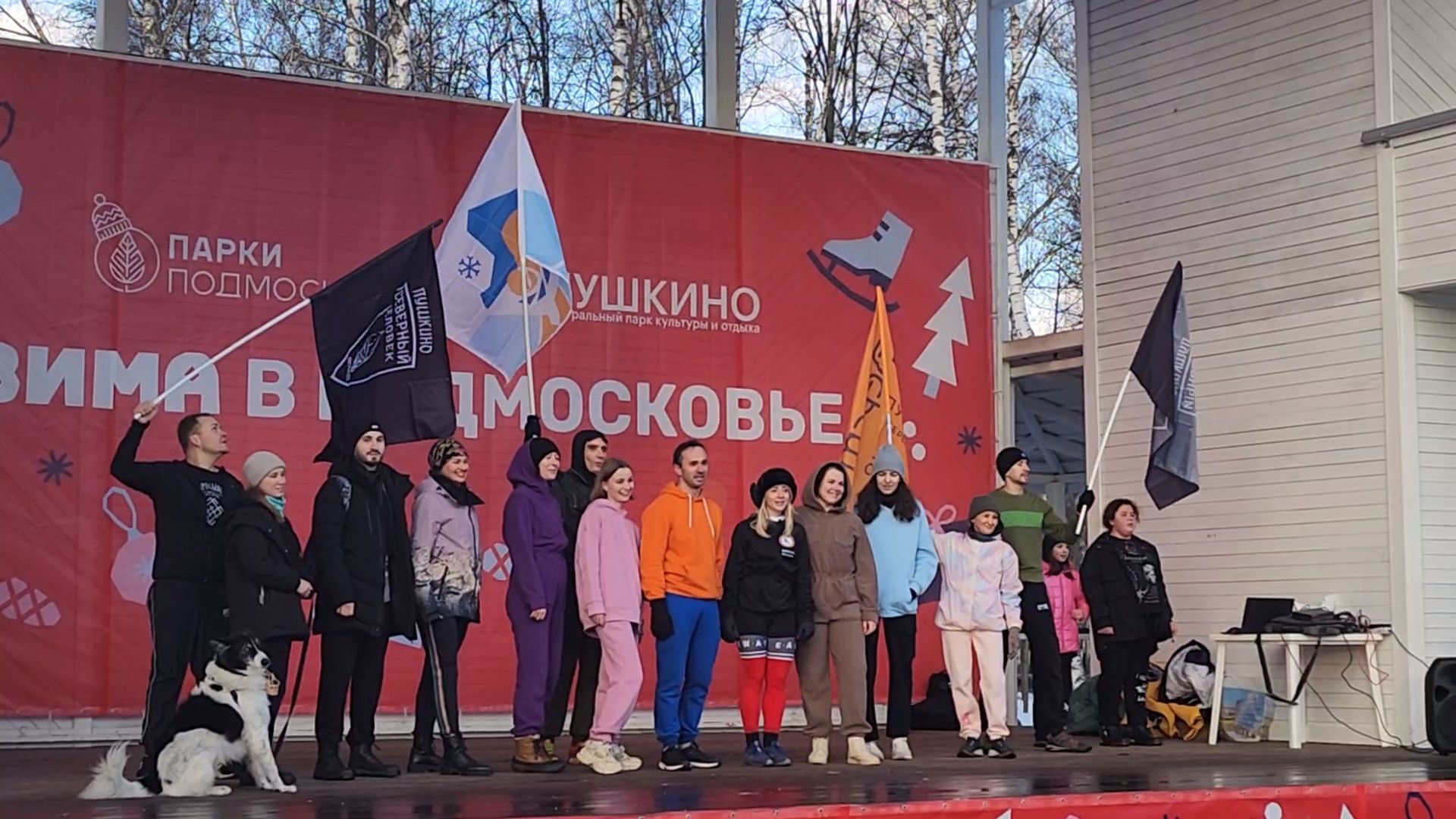 вертикалки, пушкино,