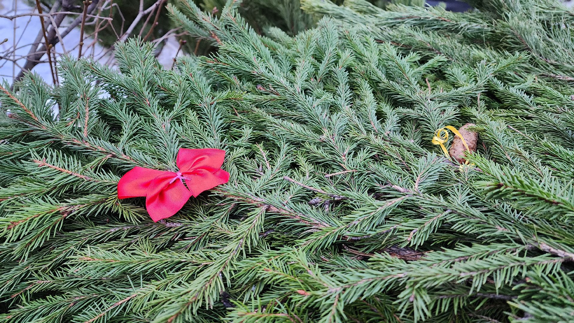 вертикалка, елочный базар, новый год,