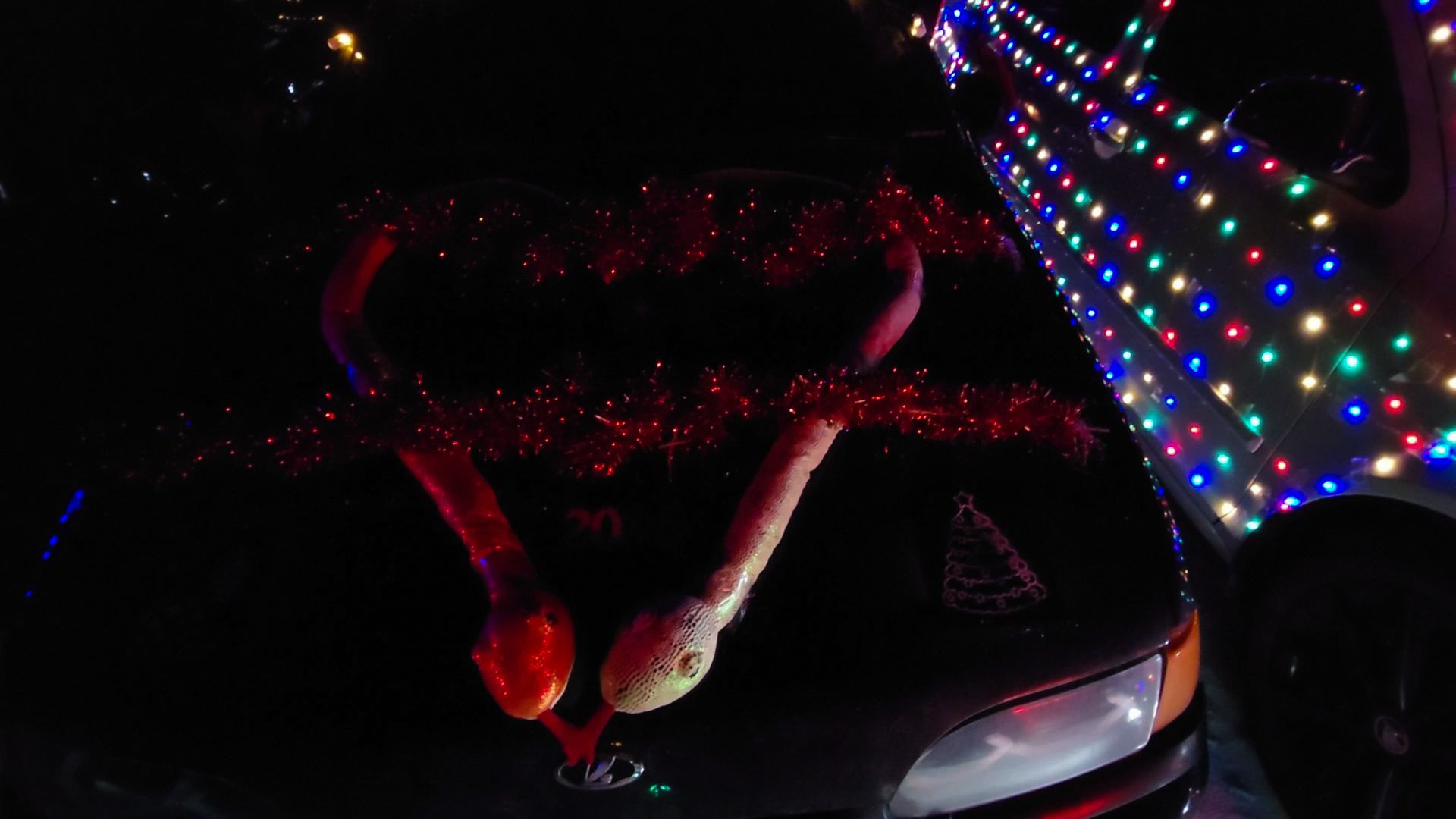 Бронницы, Новогоний флешмоб, Автоелка России, Люберцы, Балашиха, Одинцово, Чехов, Подольск, Щелково, Вертикалка, Вертикальное видео,