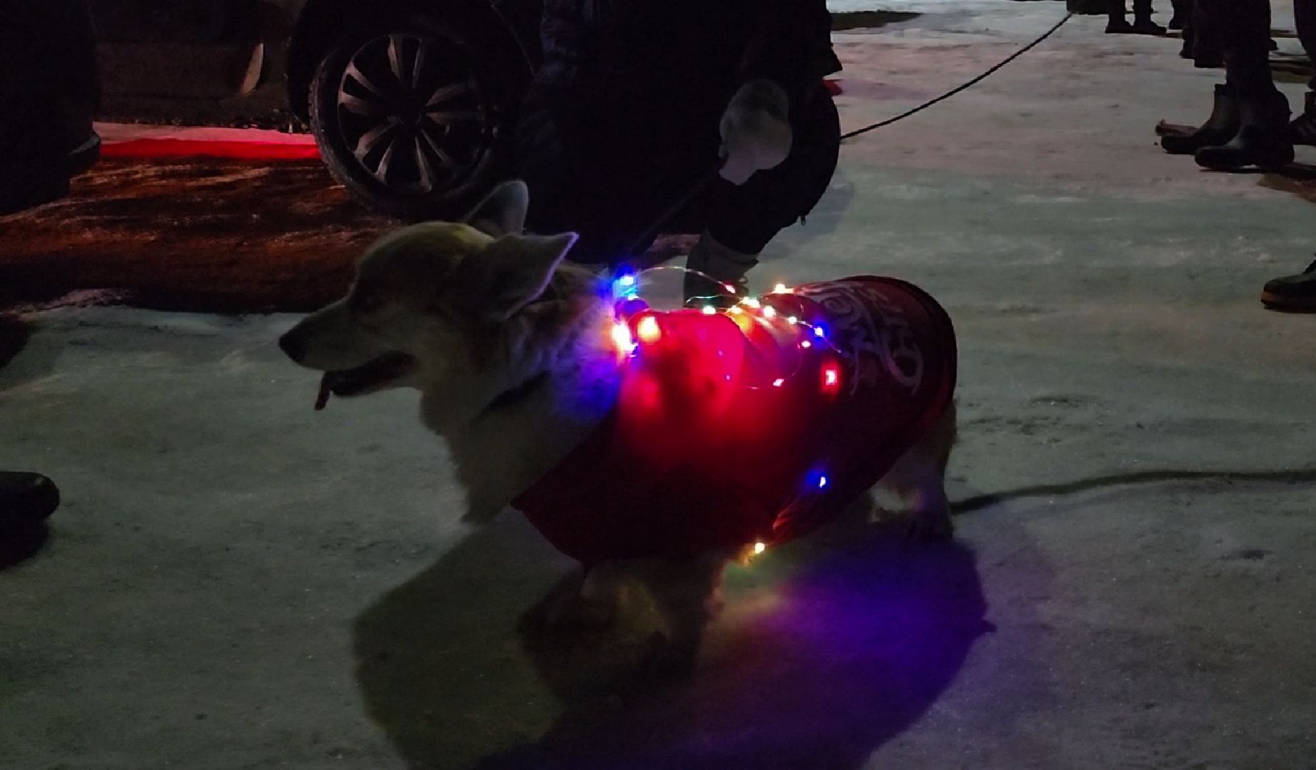 Бронницы, Новогоний флешмоб, Автоелка России, Люберцы, Балашиха, Одинцово, Чехов, Подольск, Щелково, Вертикалка, Вертикальное видео,