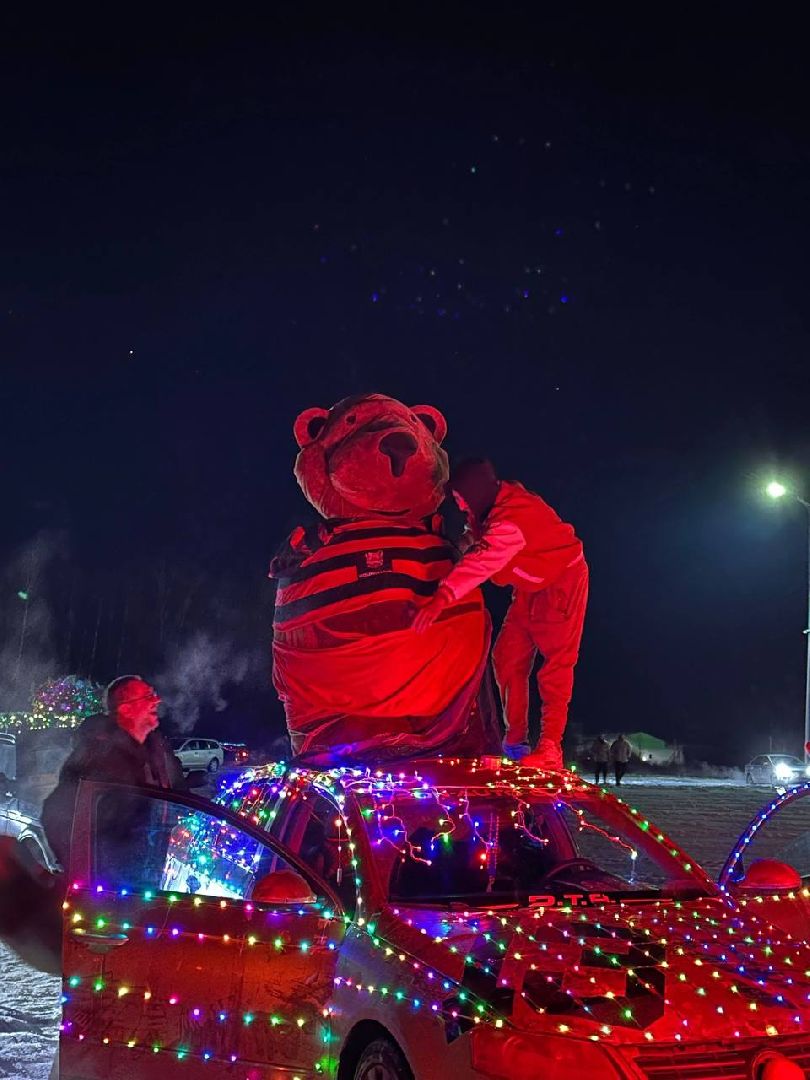 Бронницы, Новогоний флешмоб, Автоелка России, Люберцы, Балашиха, Одинцово, Чехов, Подольск, Щелково, Вертикалка, Вертикальное видео,