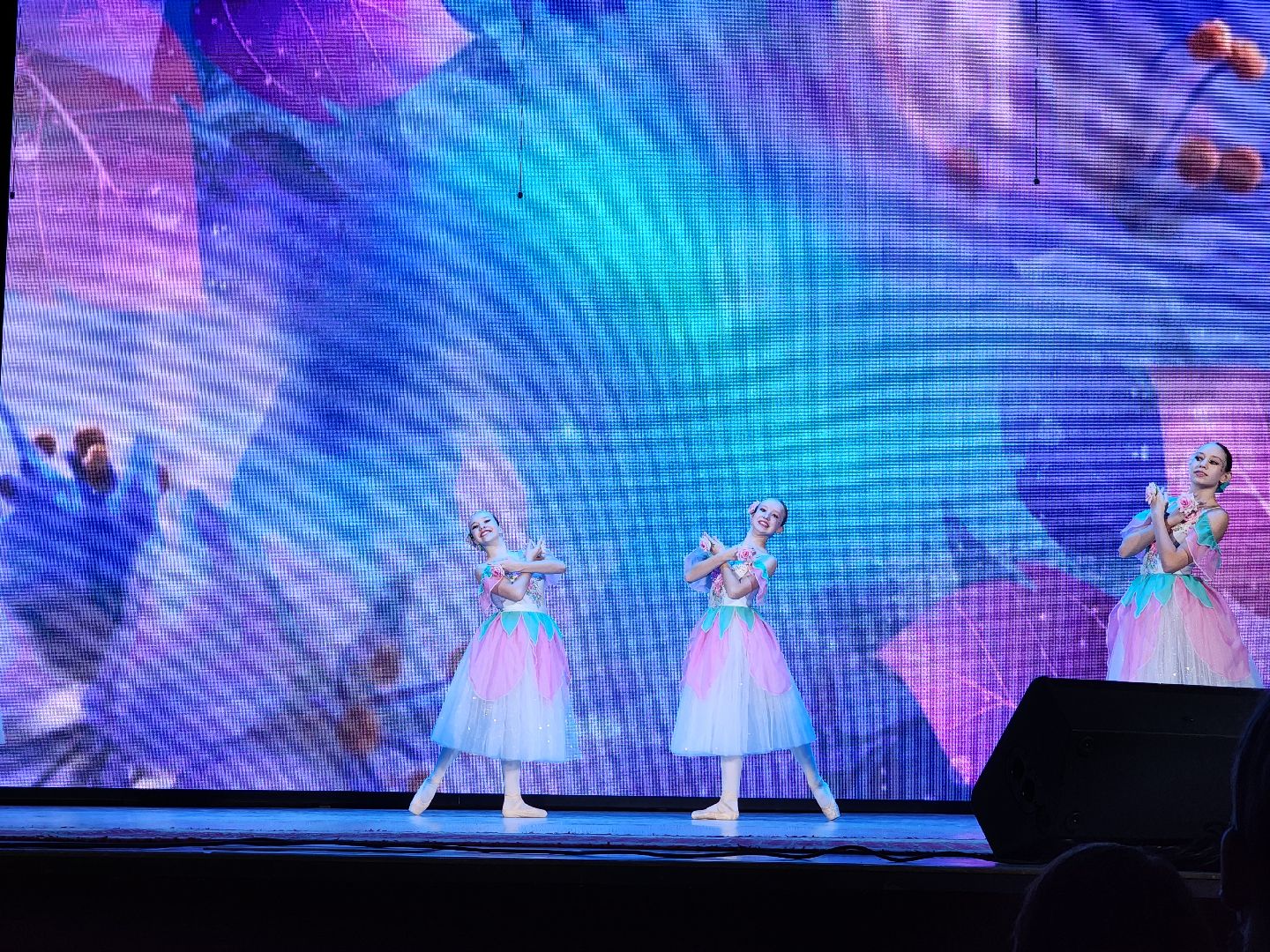 Егорьевск, Подмосковье, Московская область, Дк конина, Юбилей,