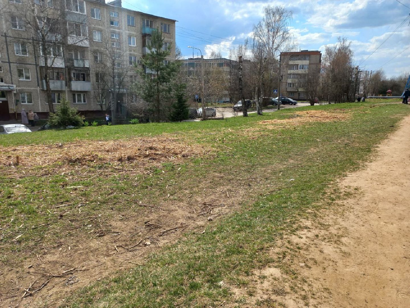 Солнечногорск, благоустройство, деревья, сухостой, школа