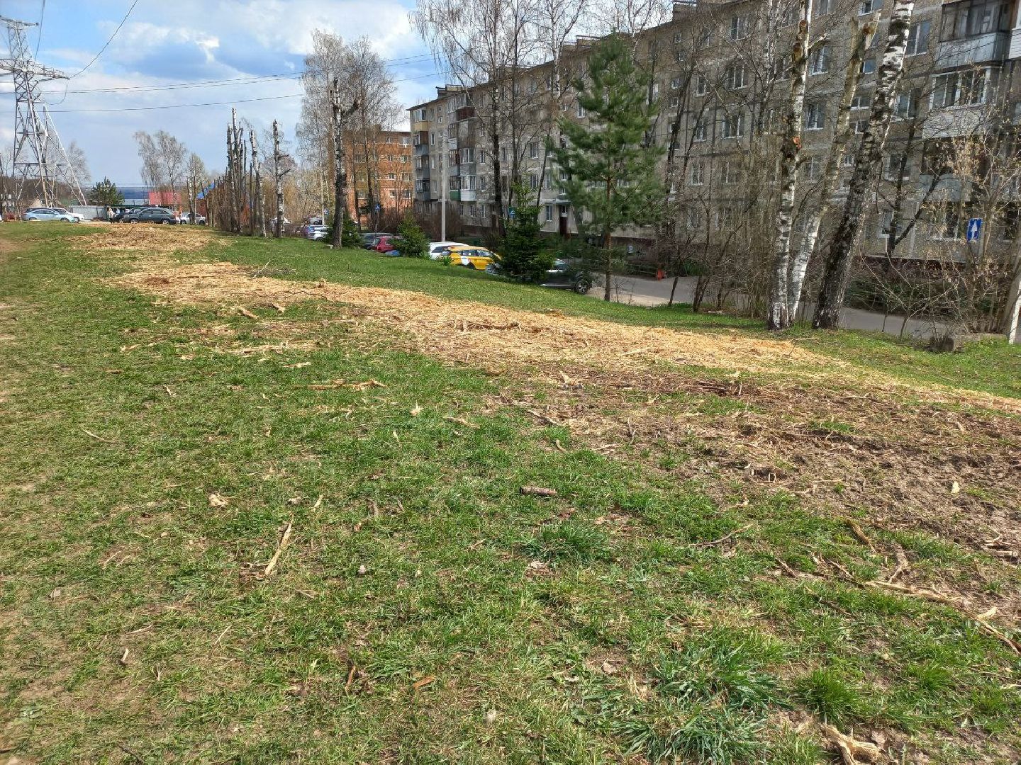 Солнечногорск, благоустройство, деревья, сухостой, школа